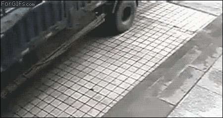 IMG_0929.gif