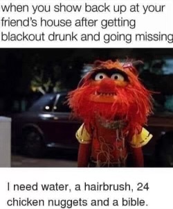 IMG_0948.jpeg