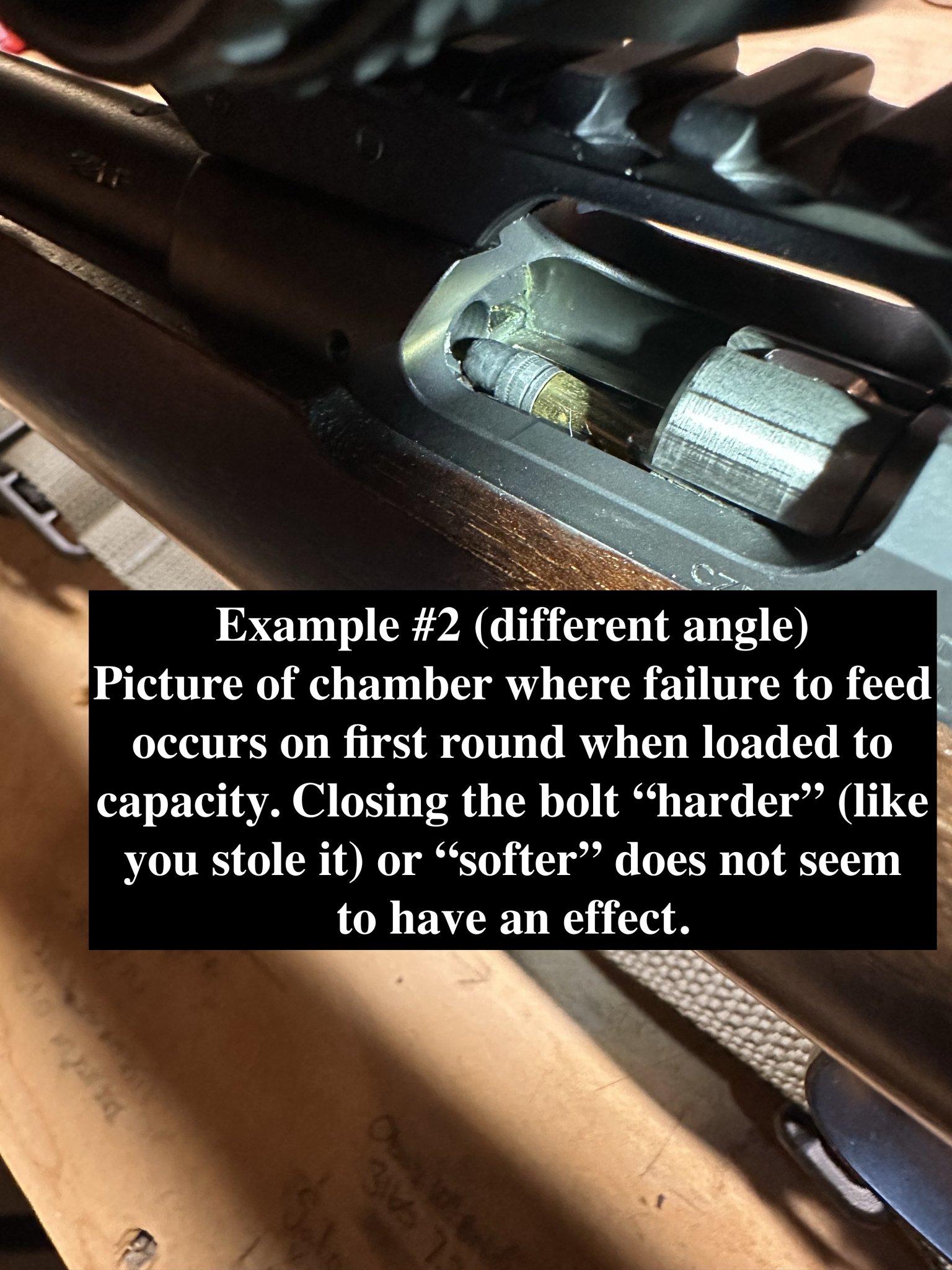 IMG_0984.jpeg
