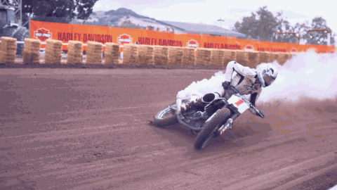 IMG_1064.gif