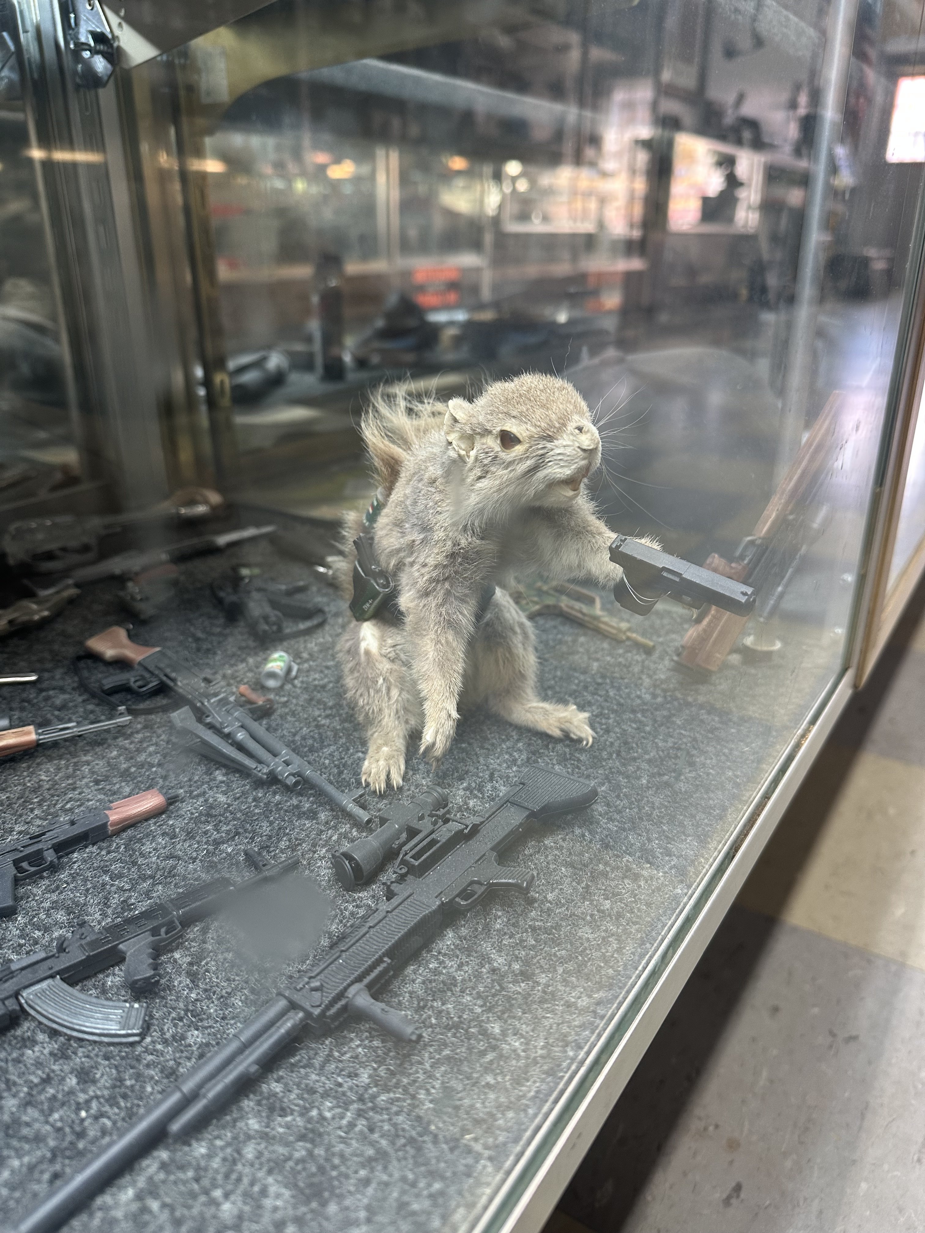 IMG_1288.jpeg