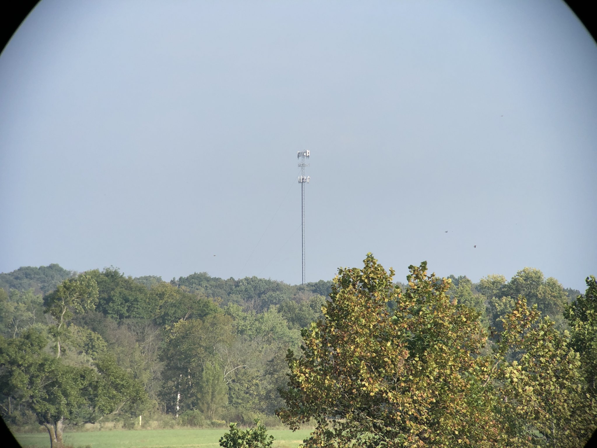 IMG_1470.JPG