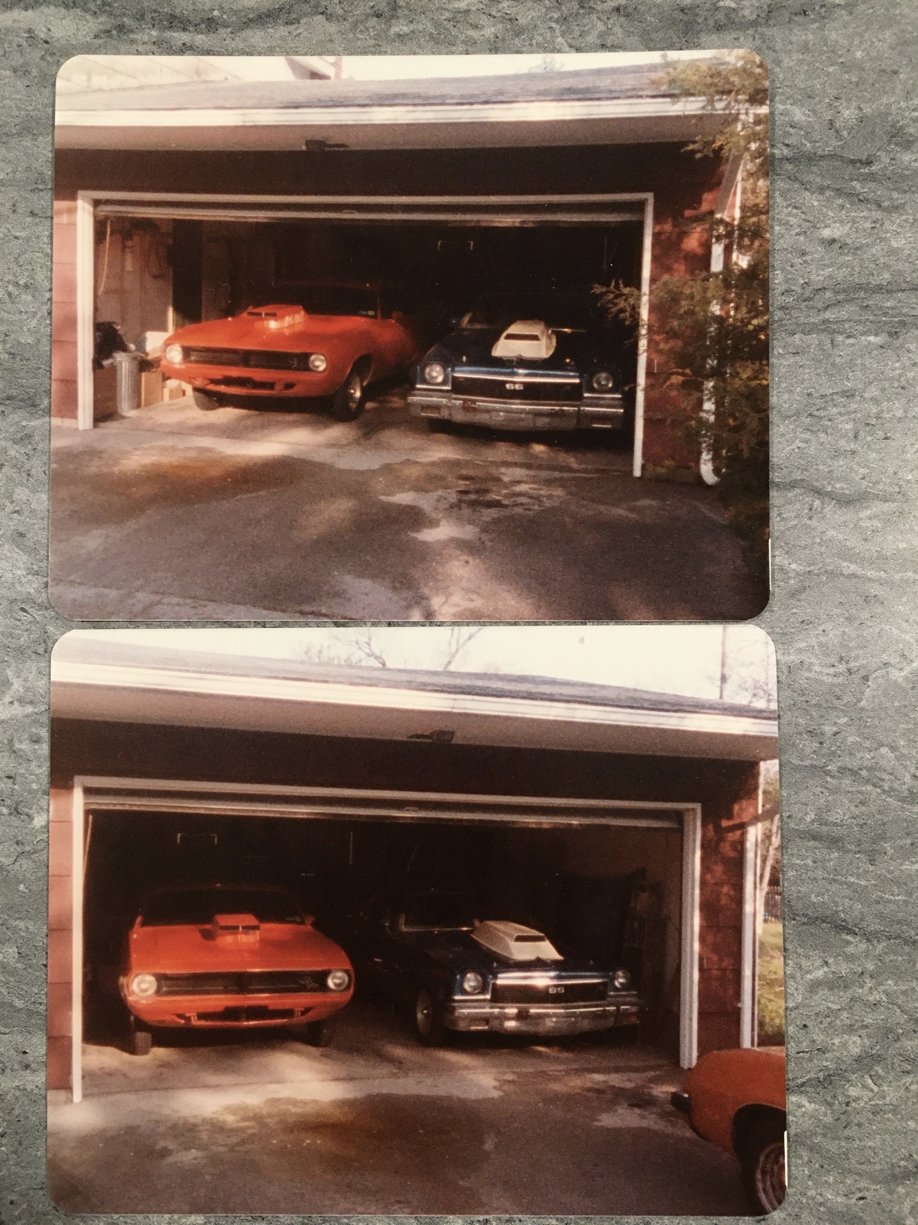 IMG_1518.jpeg