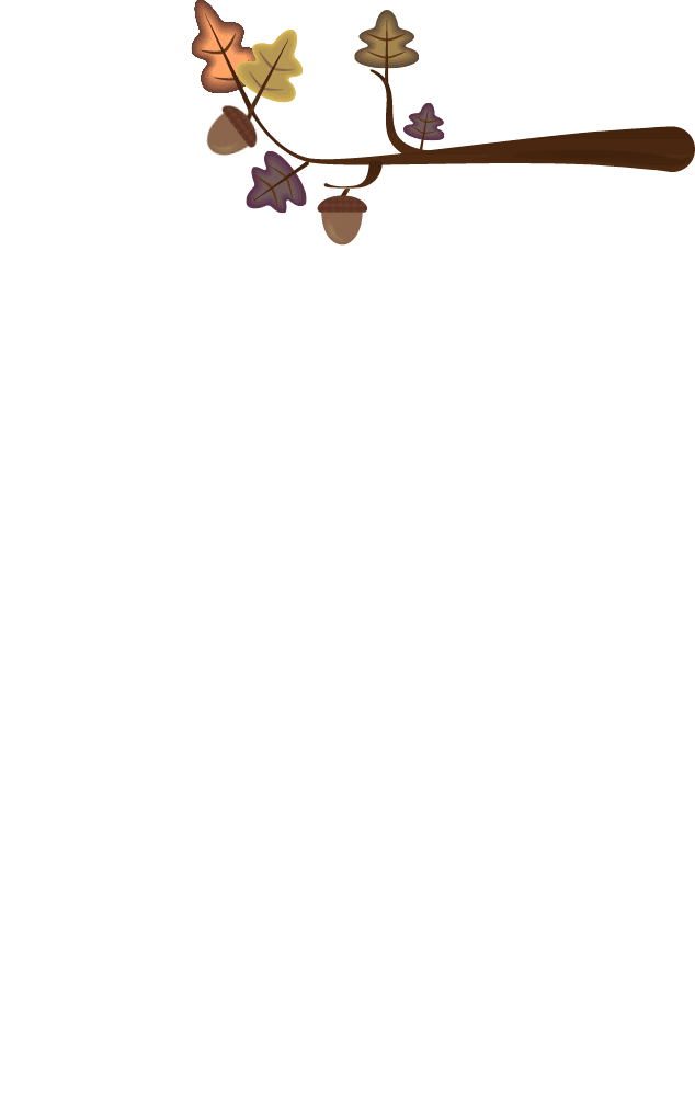 IMG_1604.gif