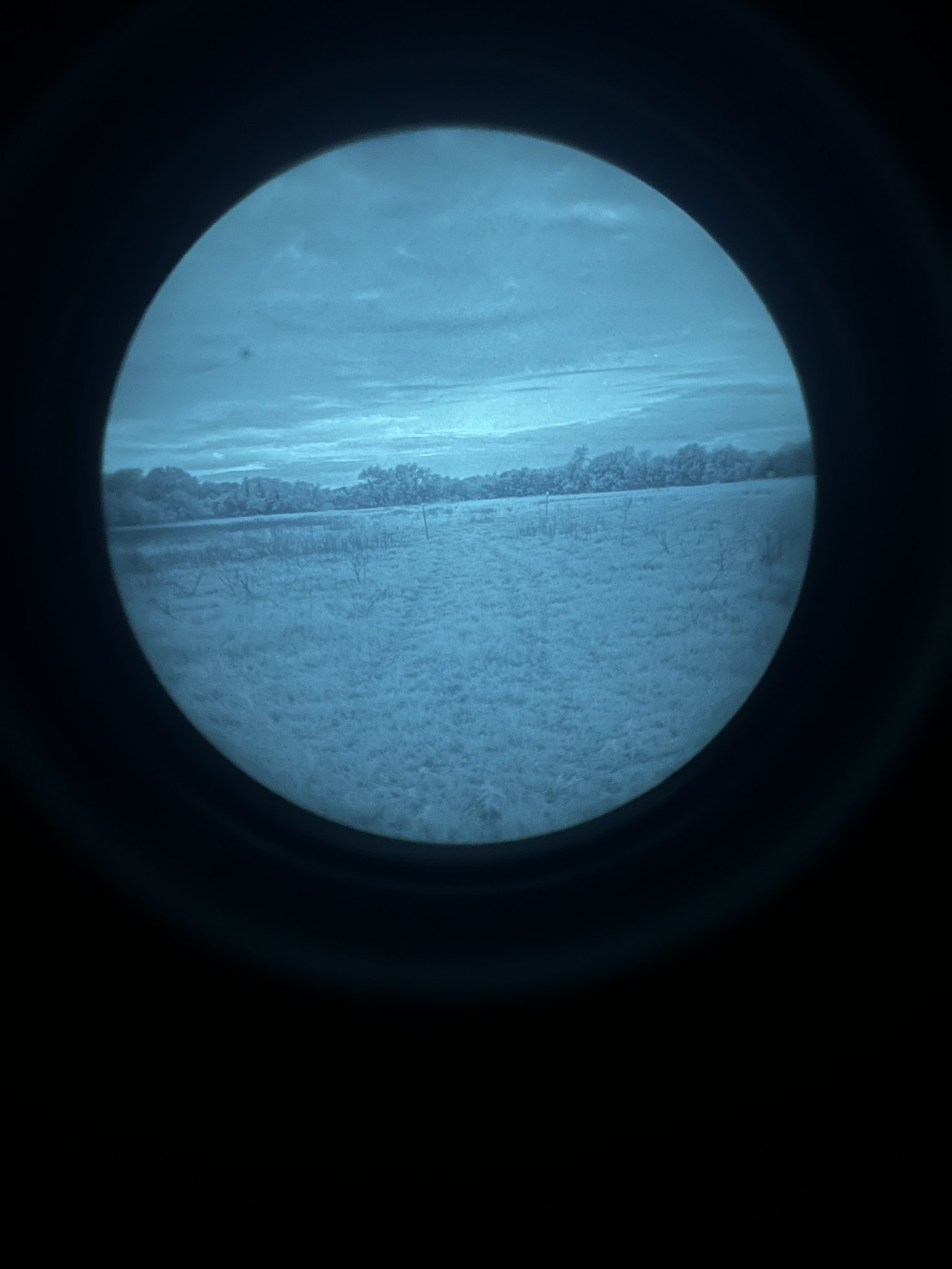 IMG_1738.jpeg