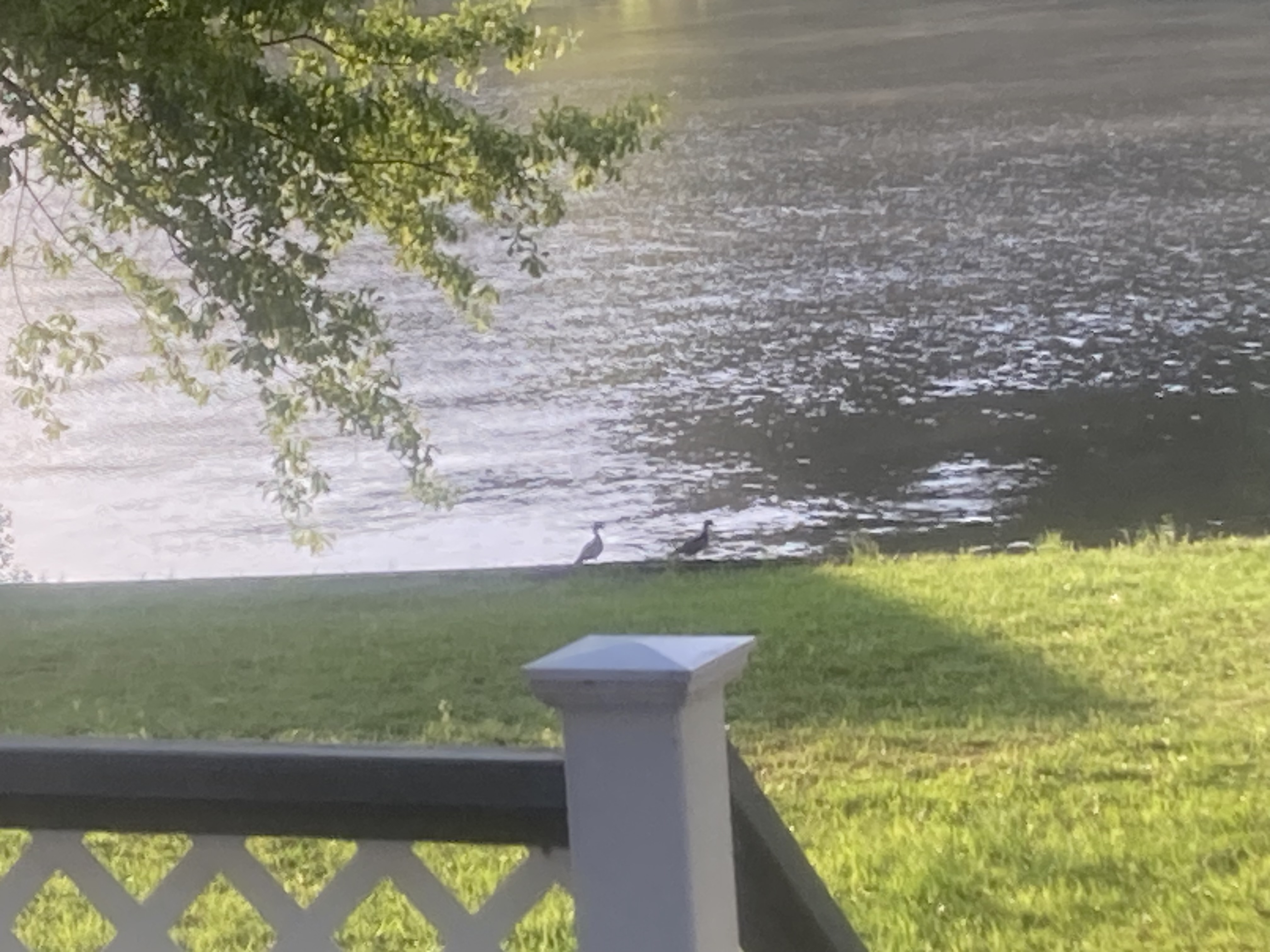 IMG_1786.jpeg