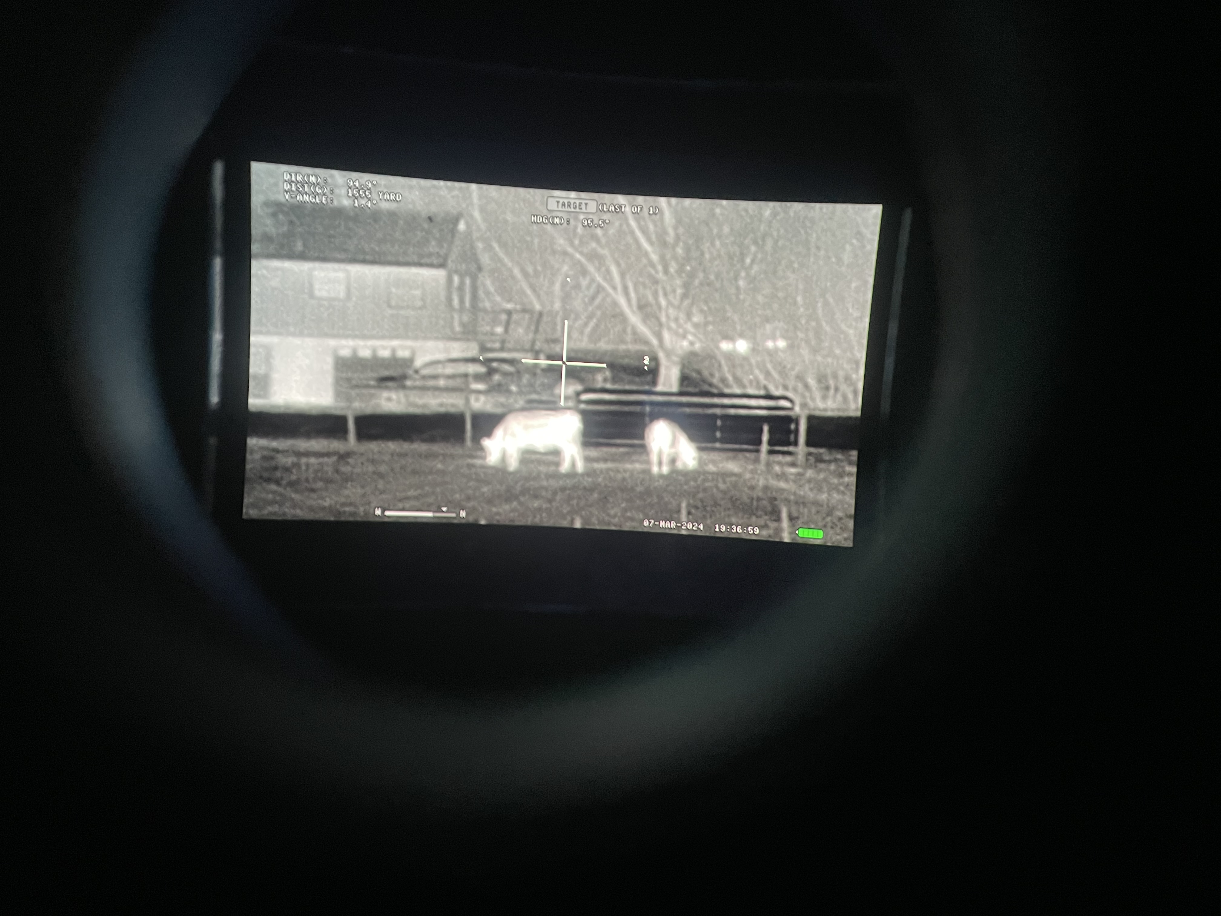 IMG_1800.jpeg