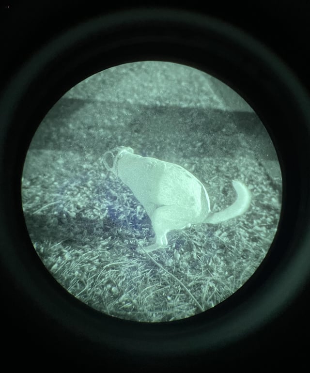 IMG_1813.jpeg