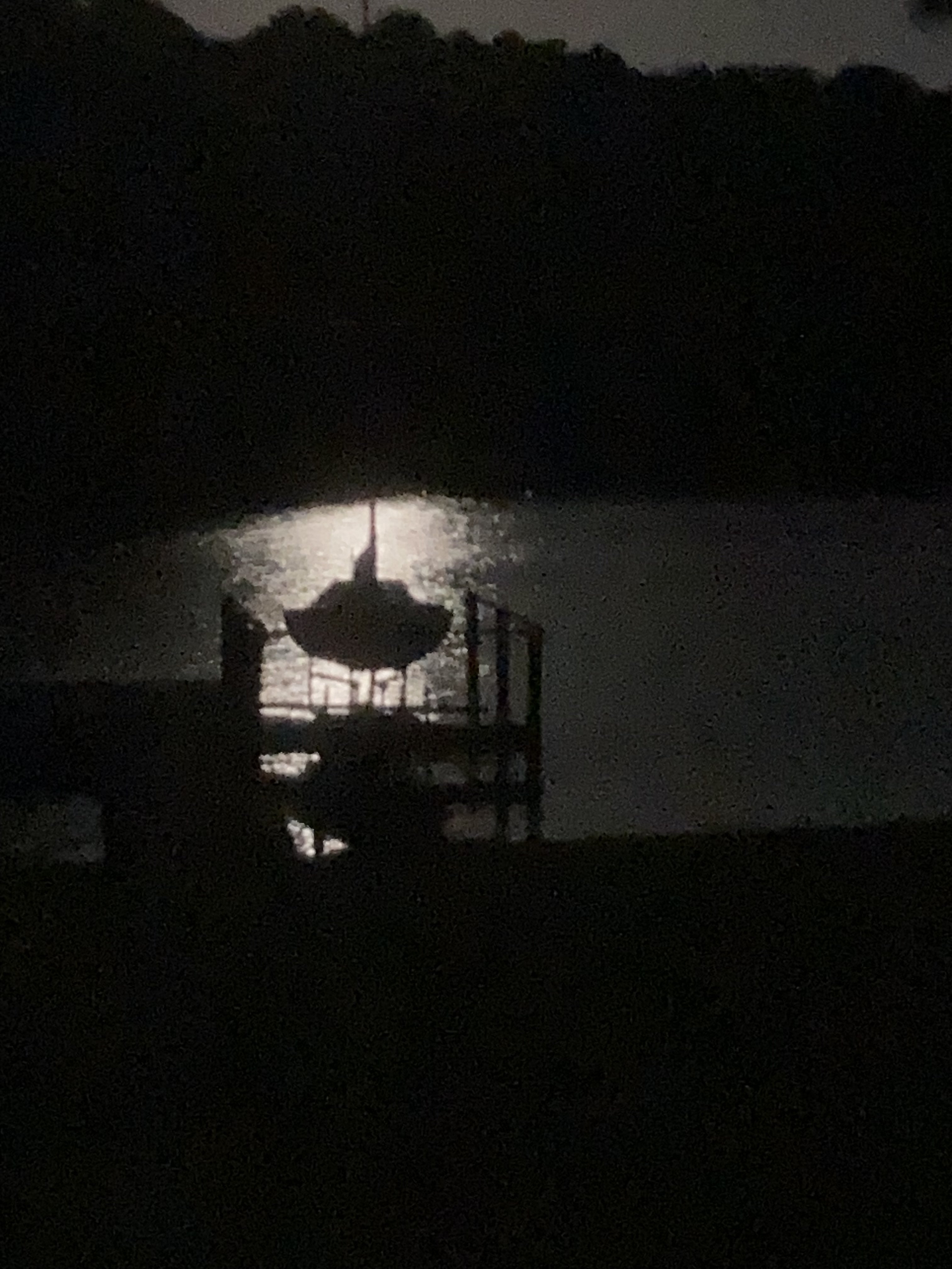 IMG_1831.jpeg