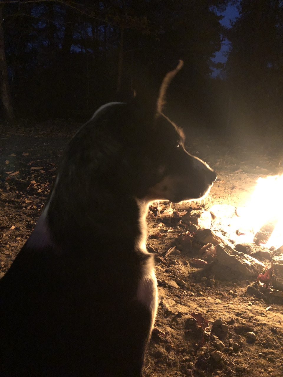 IMG_1835.jpeg