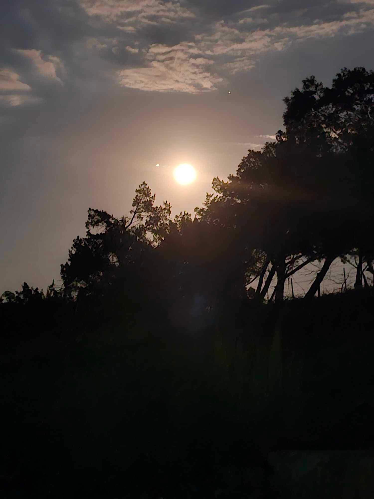 IMG_1940.jpeg