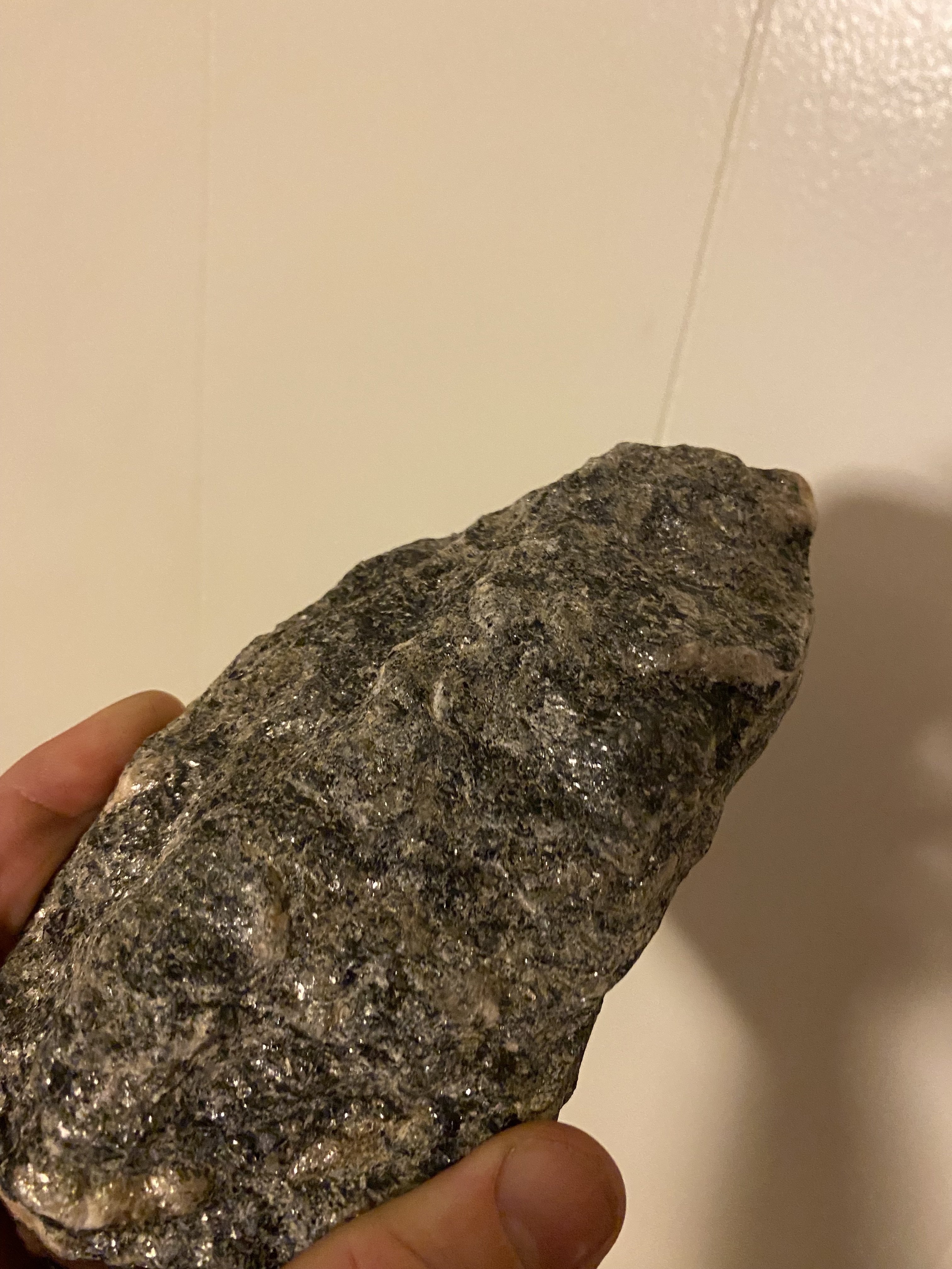 IMG_1952.jpeg