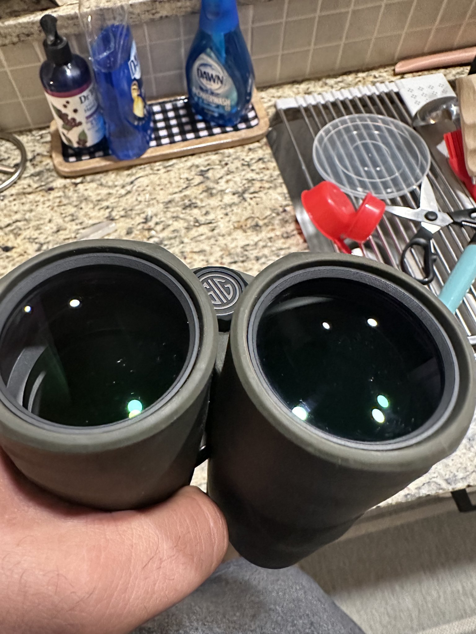 IMG_1978.jpeg