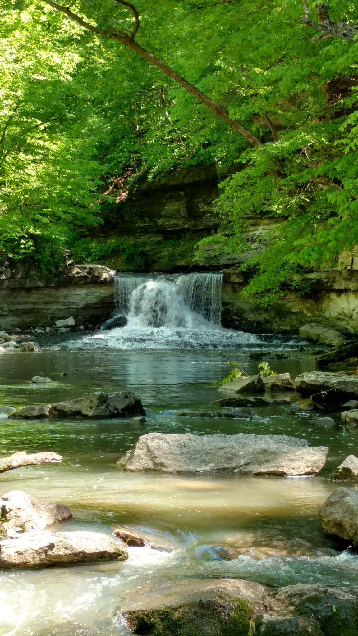 IMG_20170507_142628242_HDR.jpg