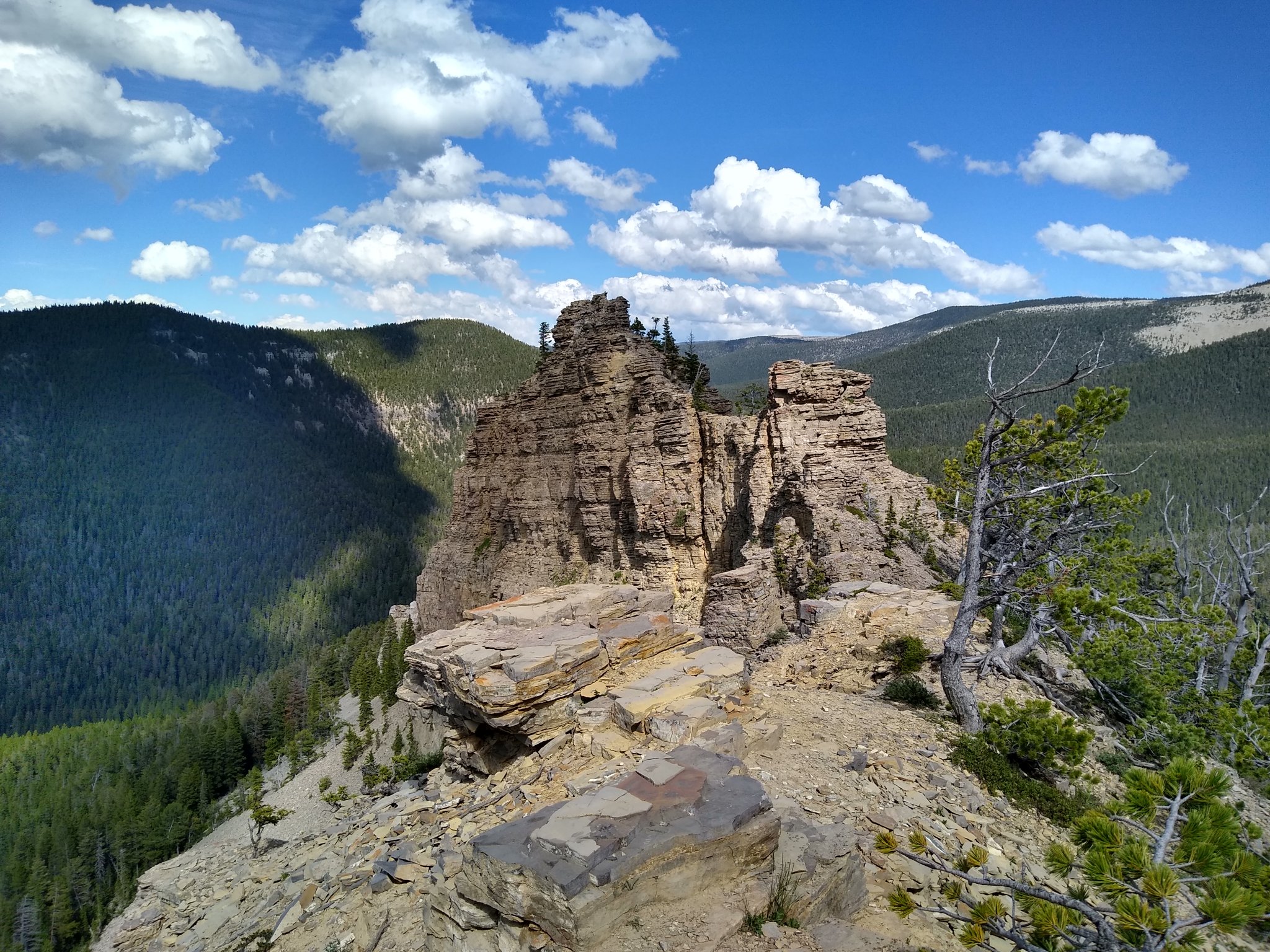 IMG_20190629_163611116_HDR.jpg