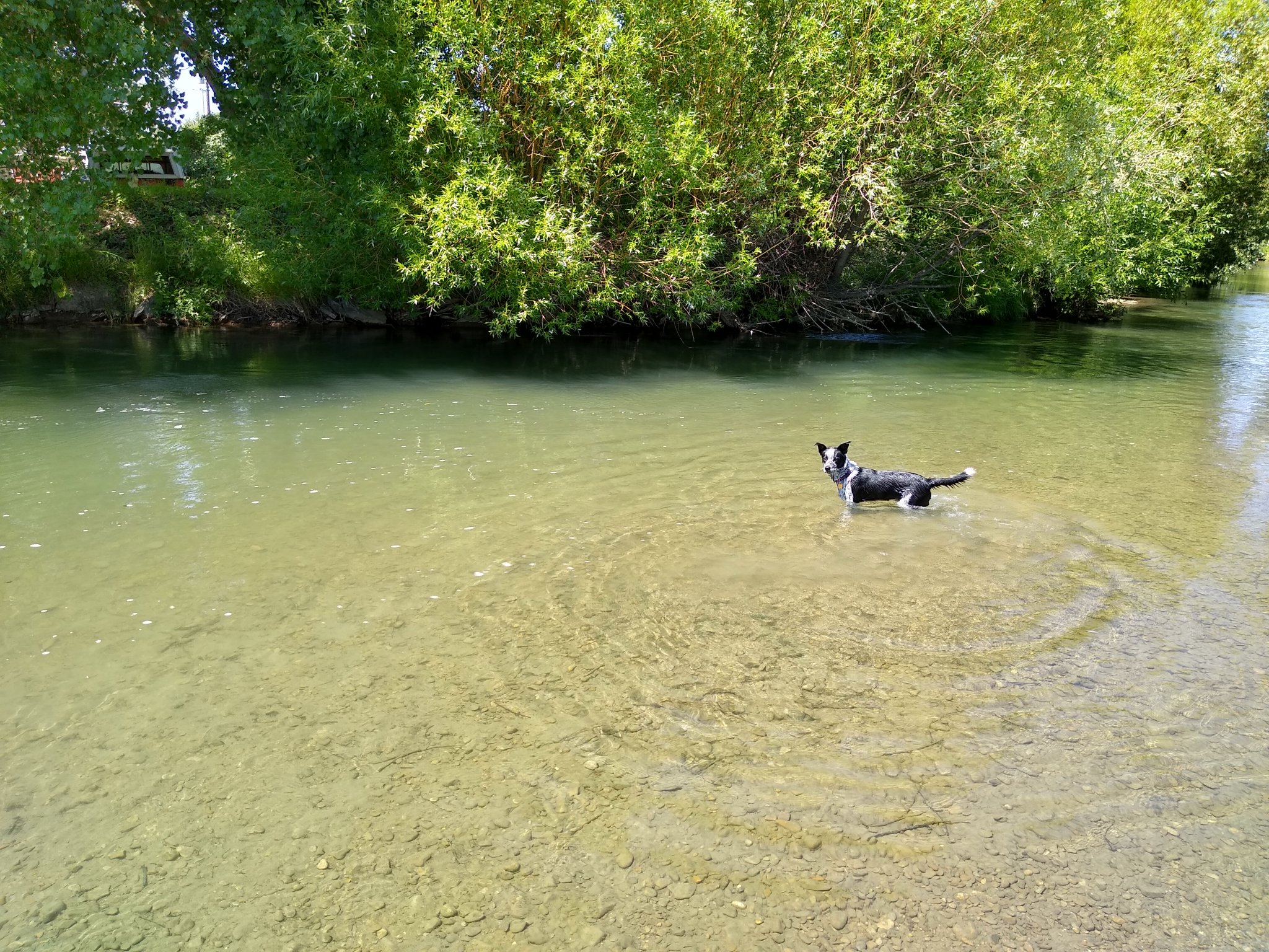 IMG_20190728_135033715_HDR.jpg