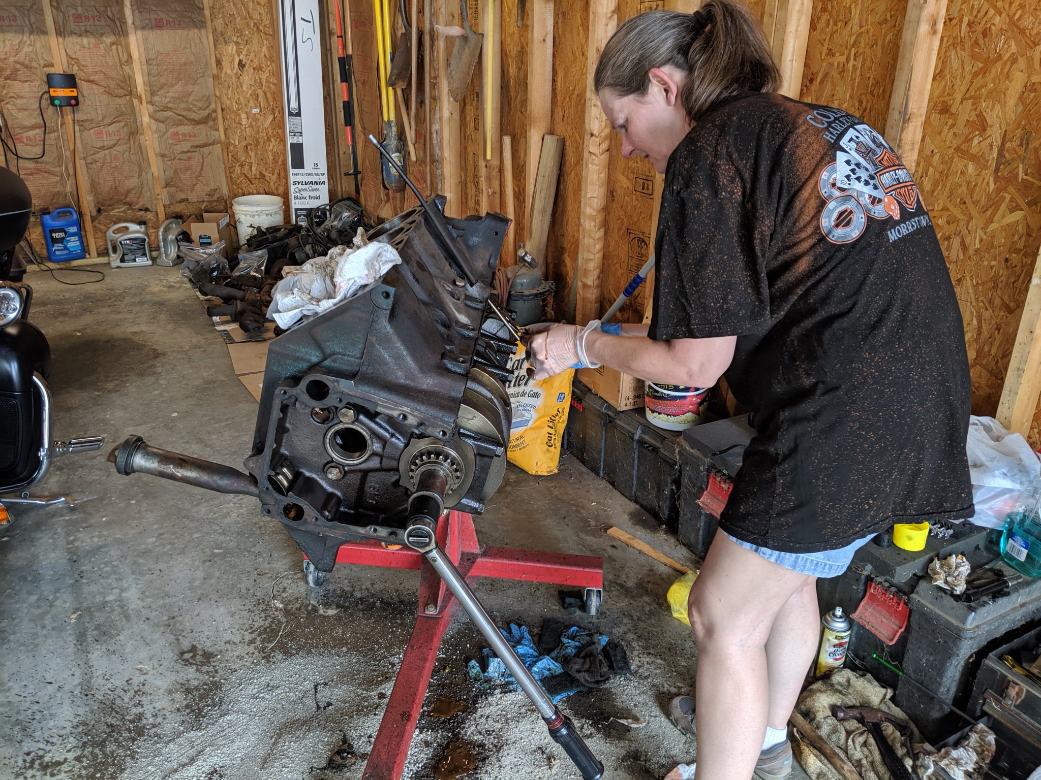 IMG_20190819_191437.jpg