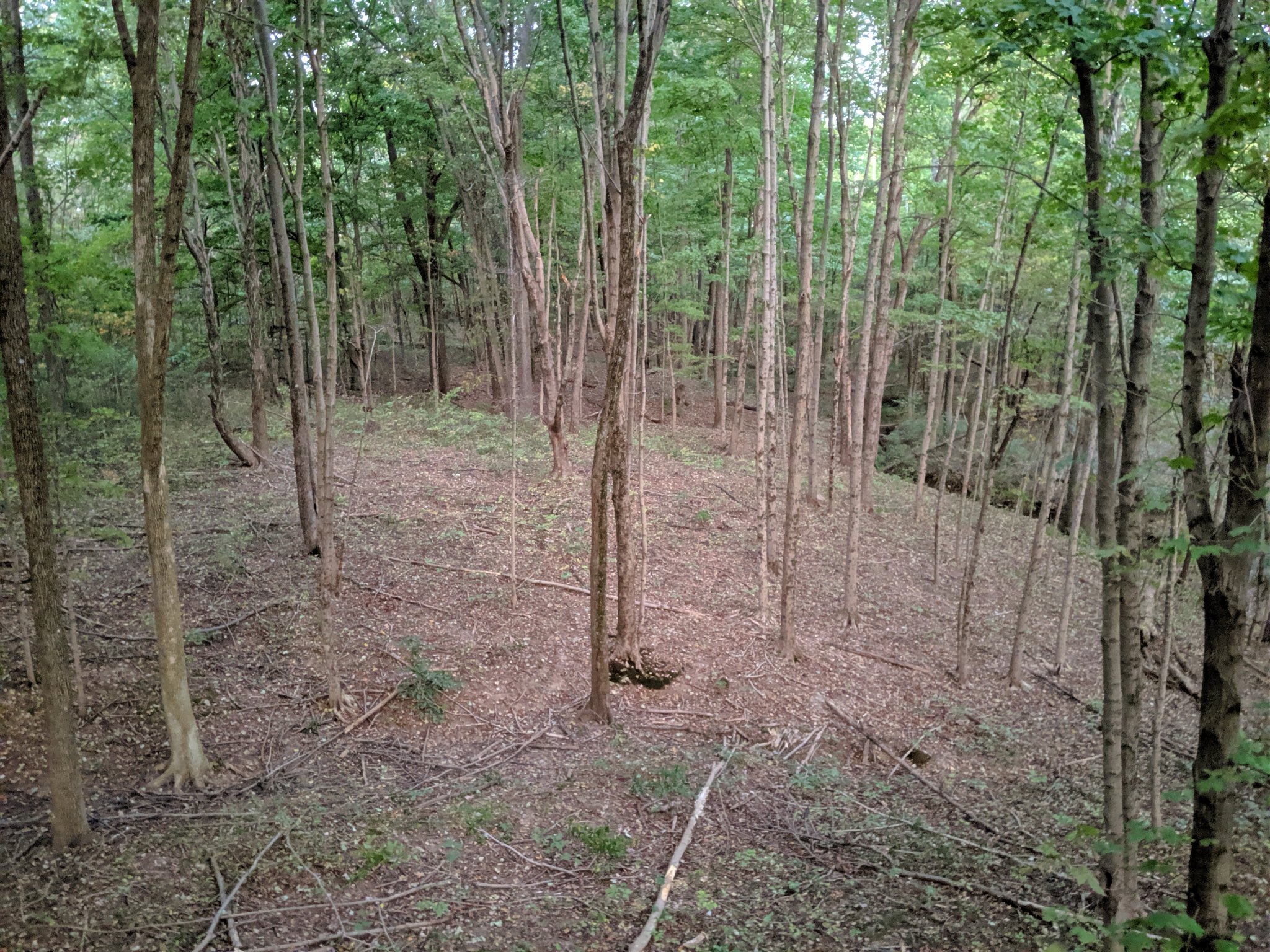 IMG_20191004_071916.jpg