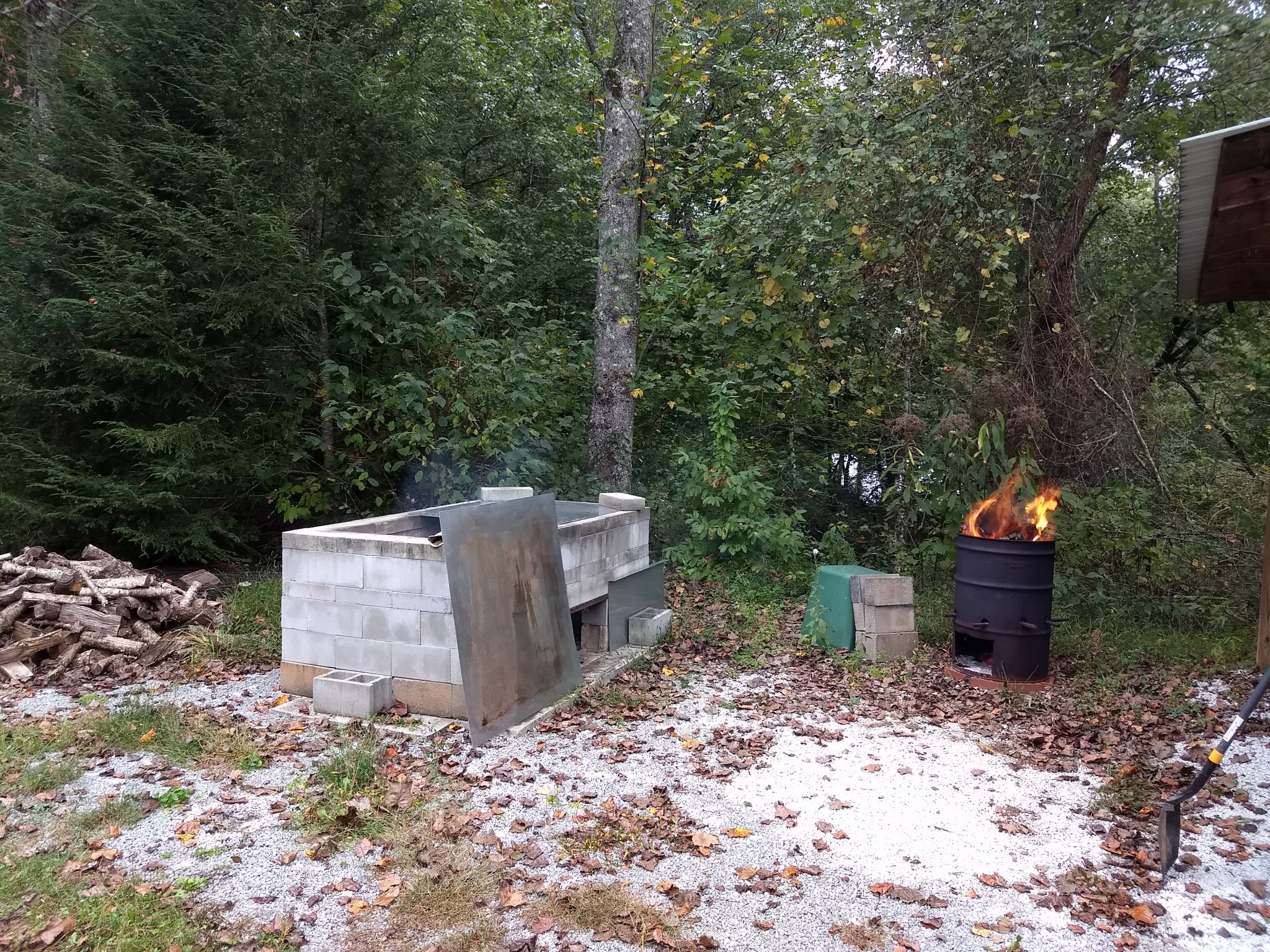 IMG_20191005_100814736.jpg