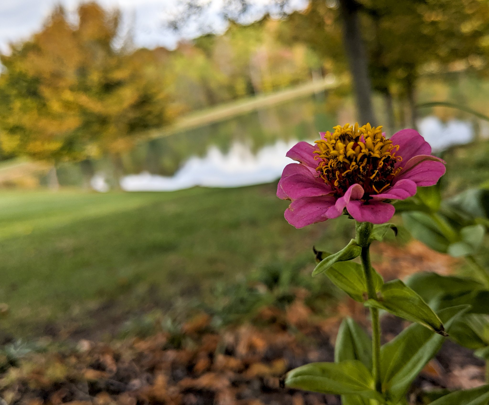 IMG_20191026_151915.jpg