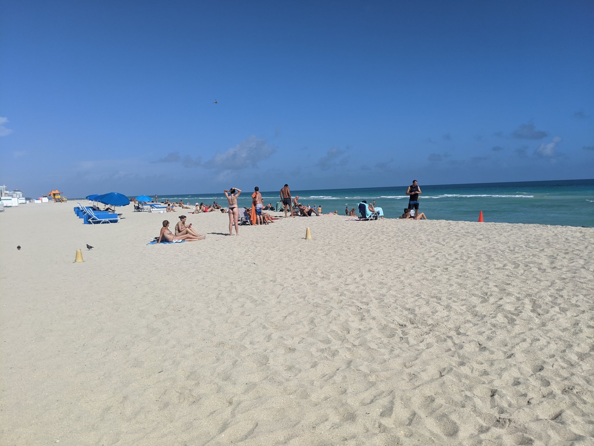 IMG_20191211_123556.jpg