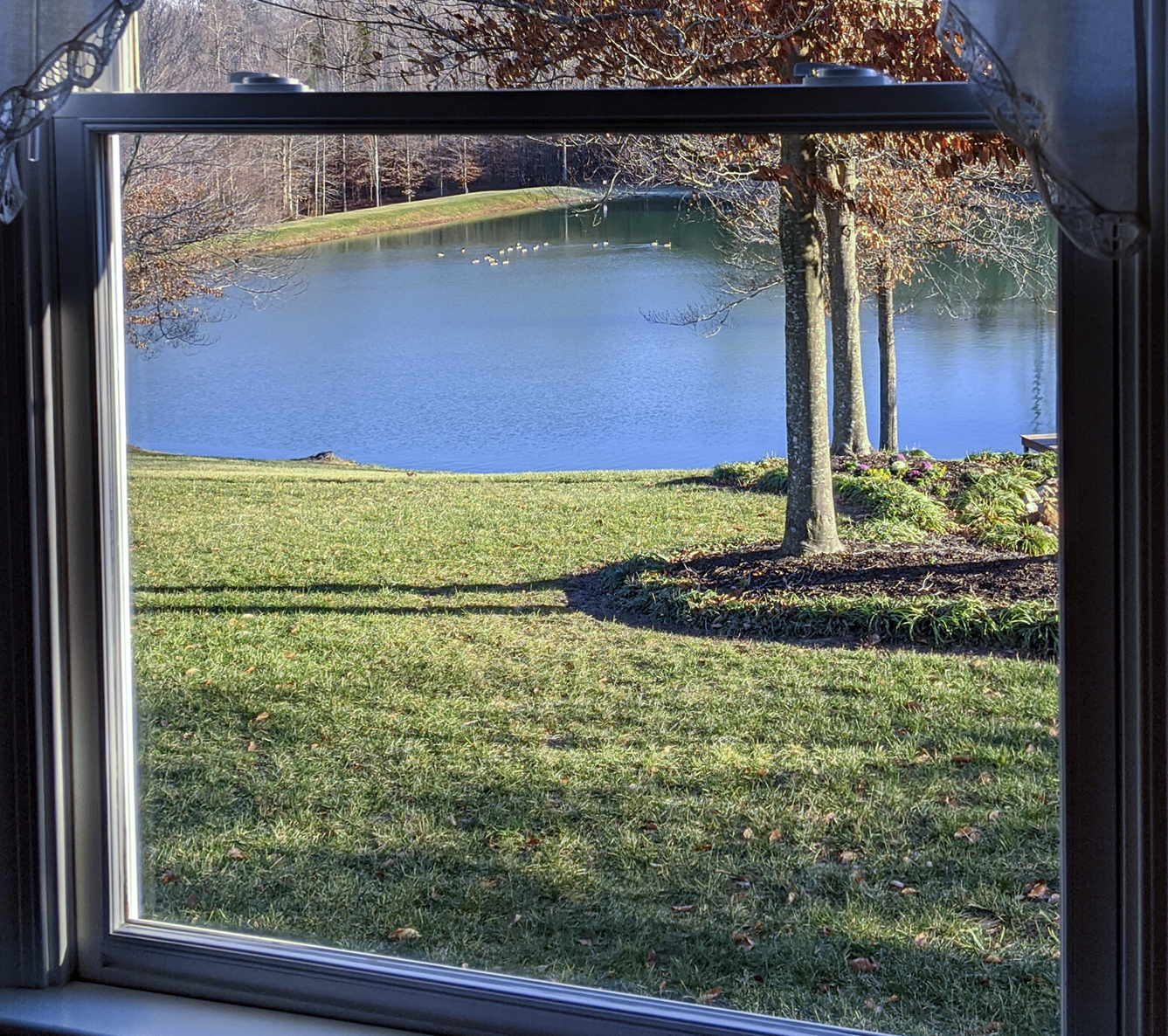 IMG_20200109_090917[1].jpg
