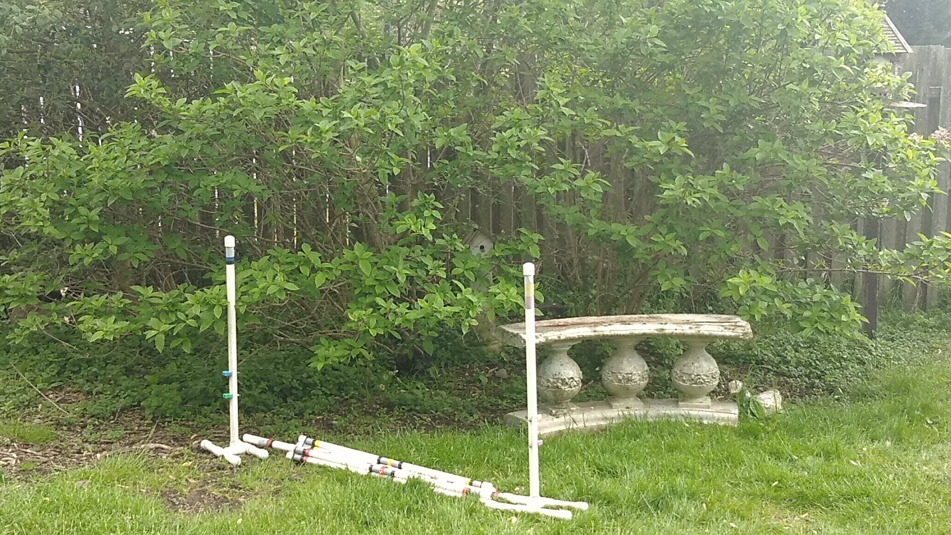 IMG_20200511_163130.jpg