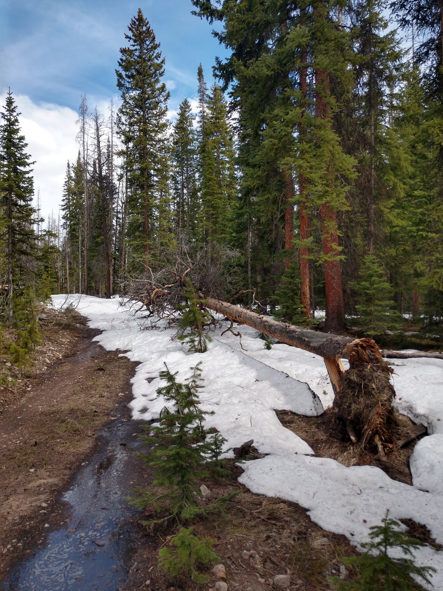 IMG_20200517_145547000_HDR.jpg