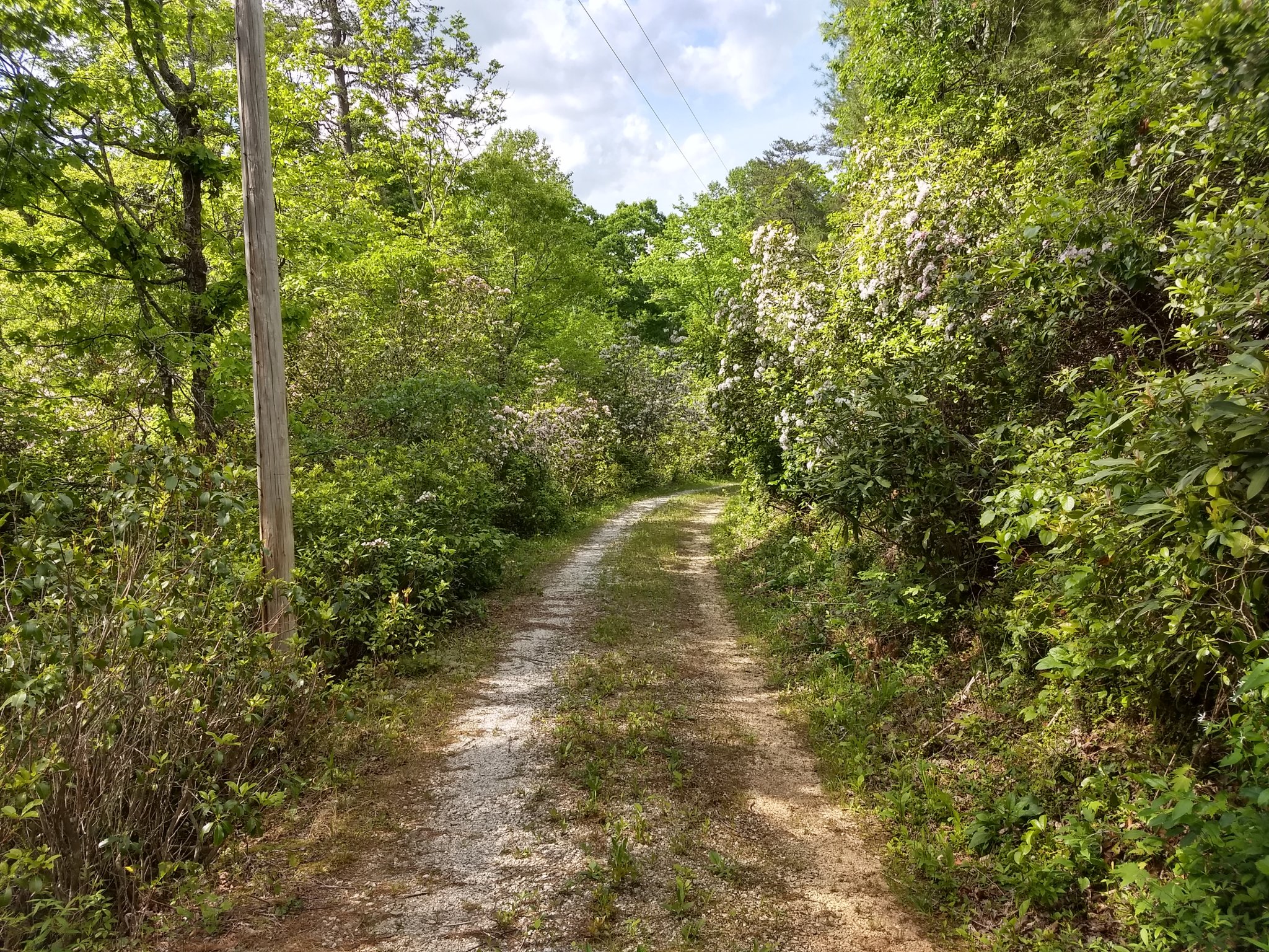 IMG_20200517_164944609_HDR.jpg