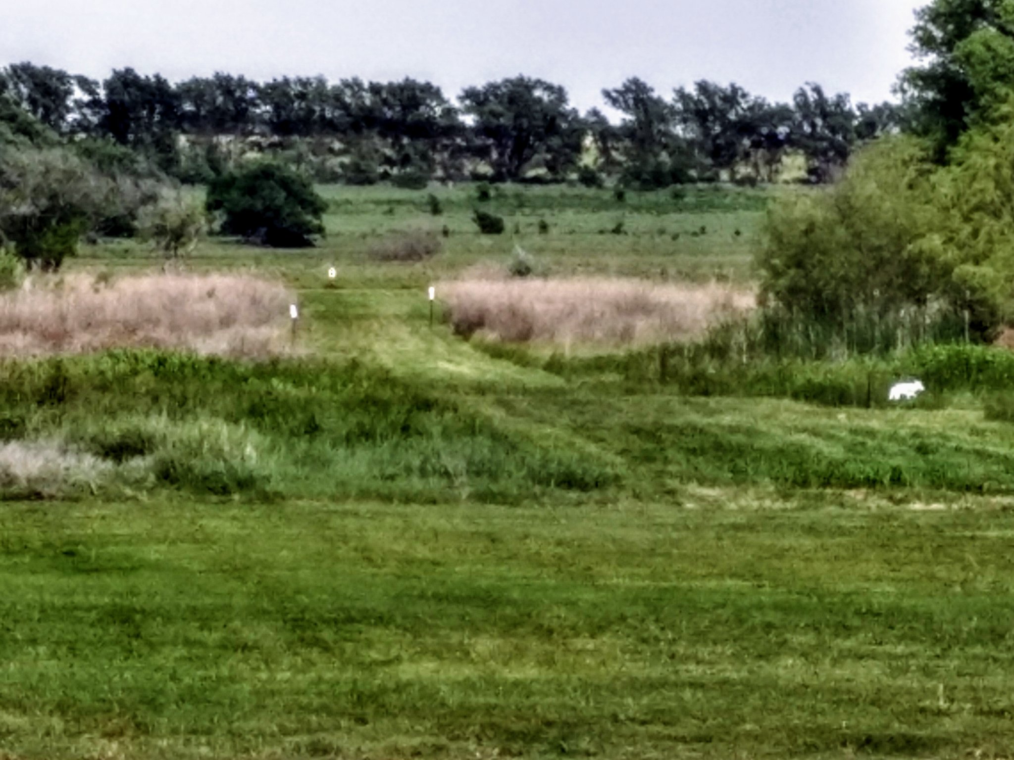 IMG_20200601_165448973_HDR.jpg