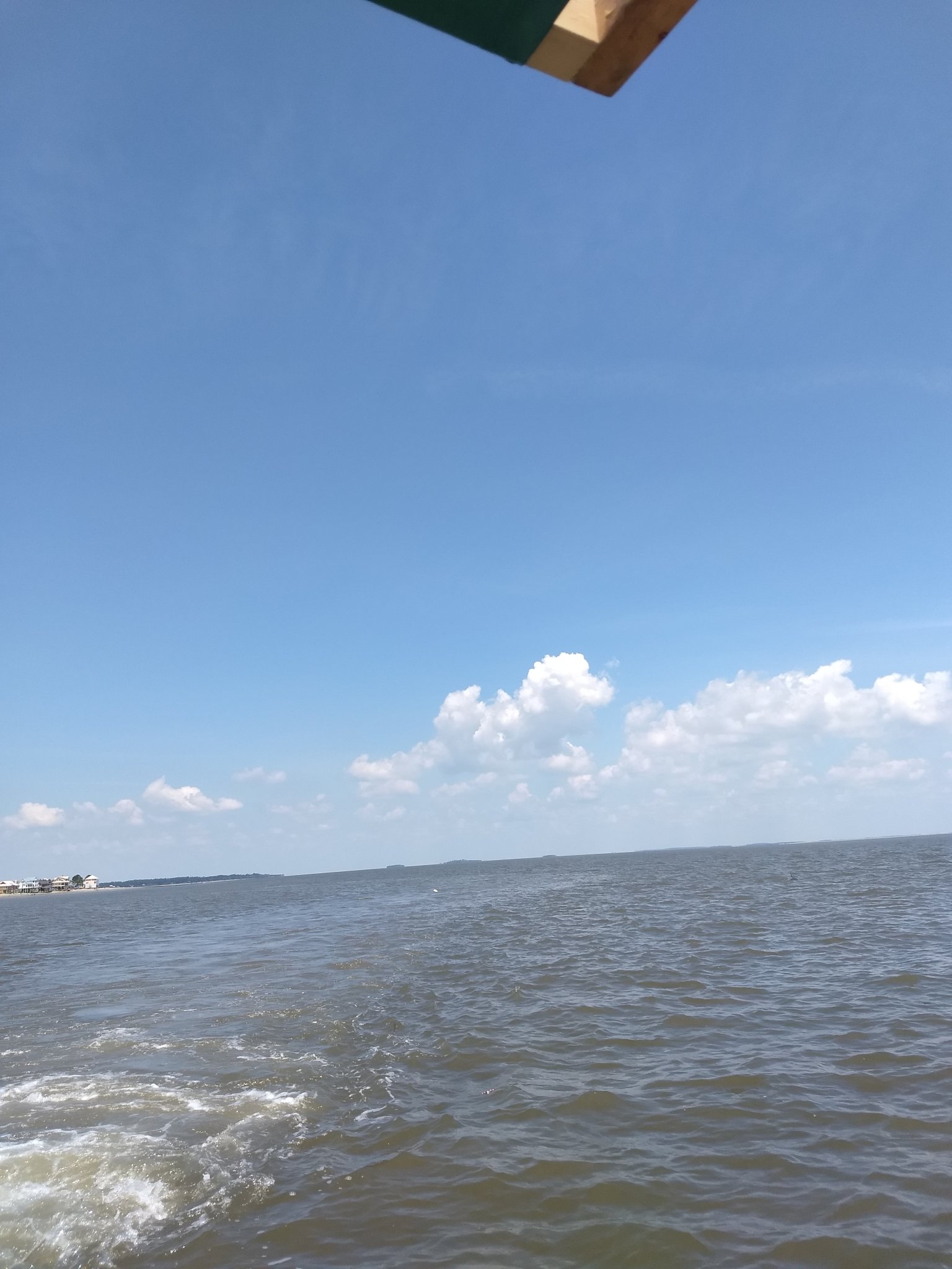 IMG_20200703_121916643.jpg