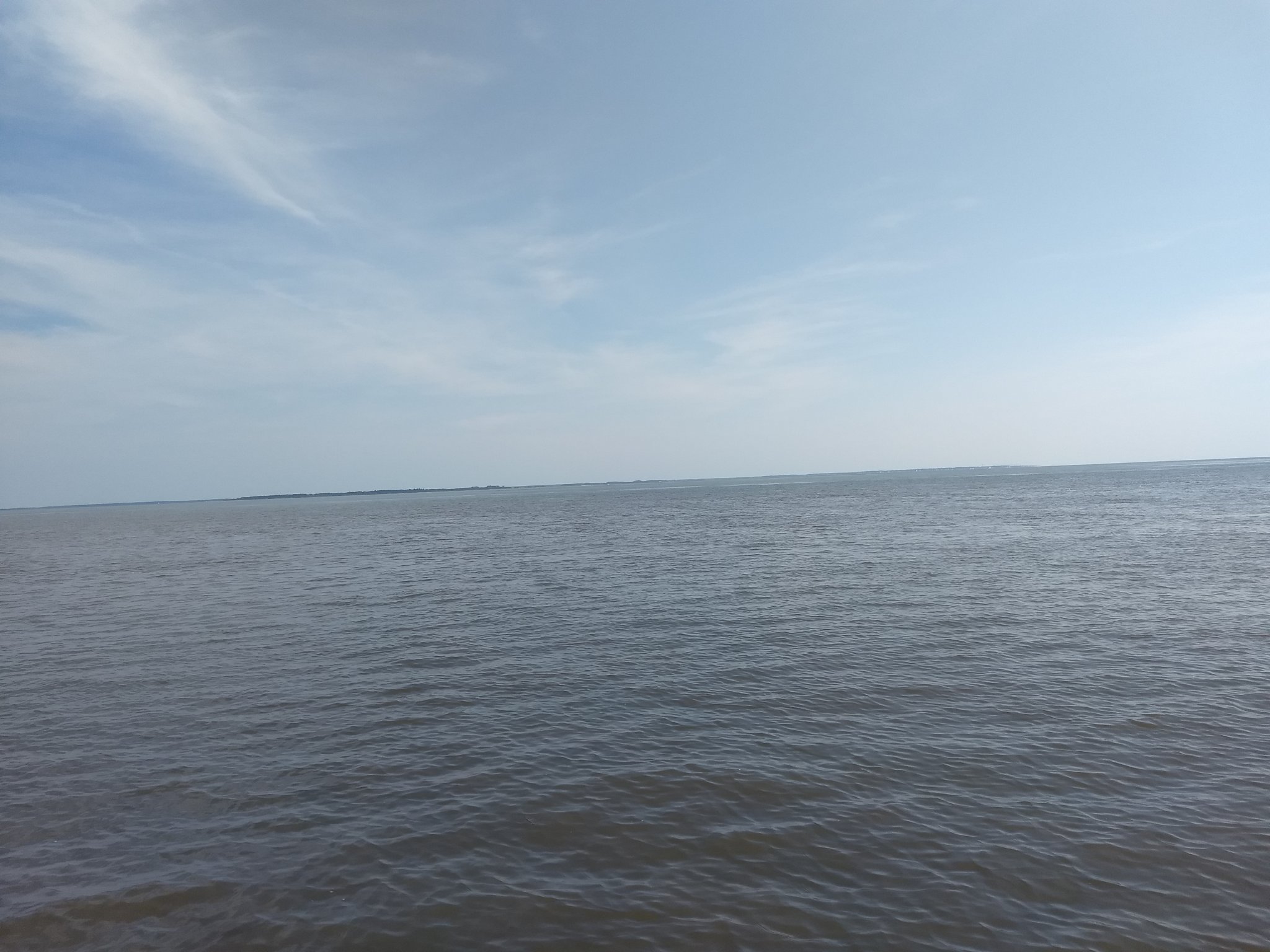 IMG_20200704_105313069.jpg