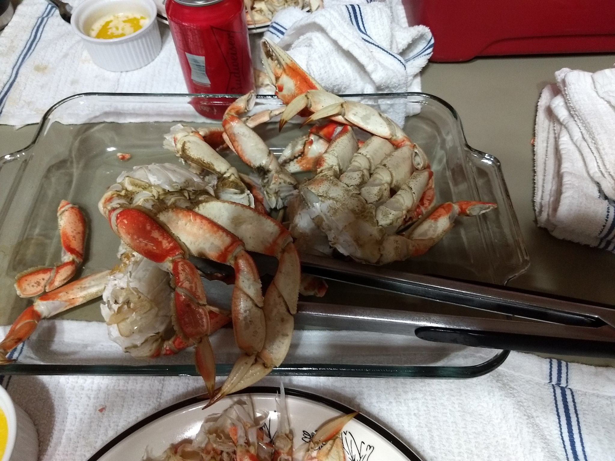 IMG_20200721_182842686.jpg
