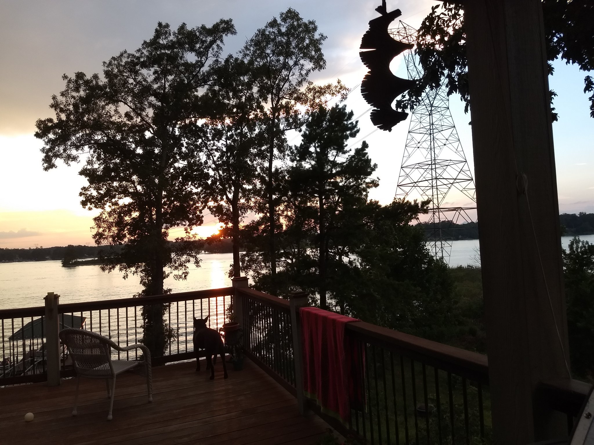 IMG_20200802_202041591.jpg