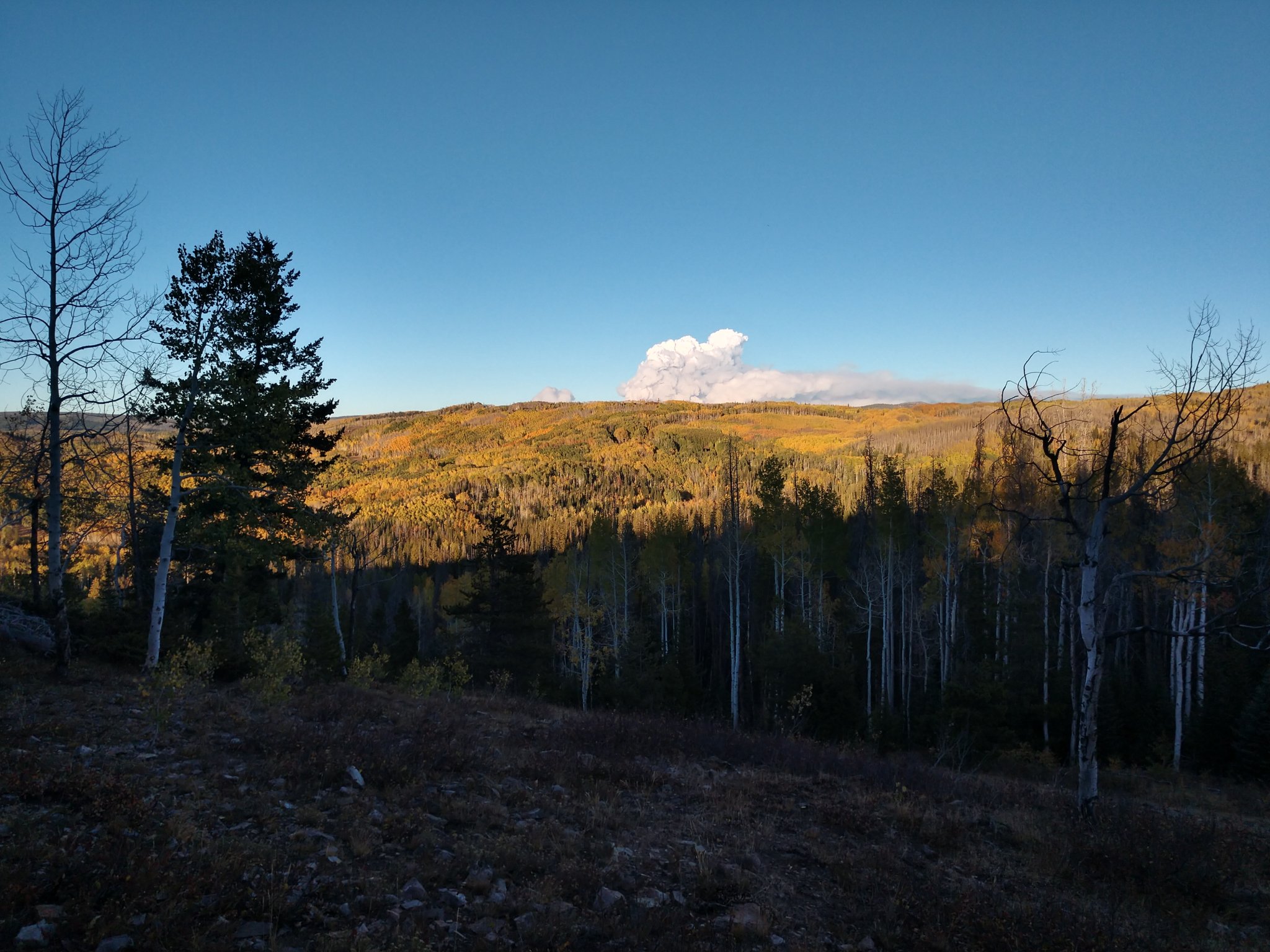 IMG_20200929_182035249_HDR.jpg