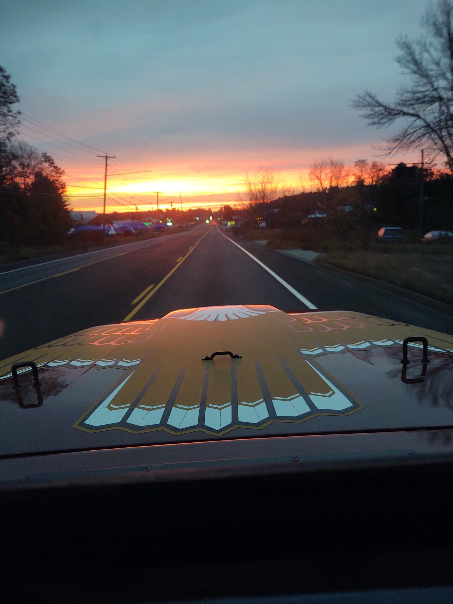 IMG_20201106_061000746.jpg