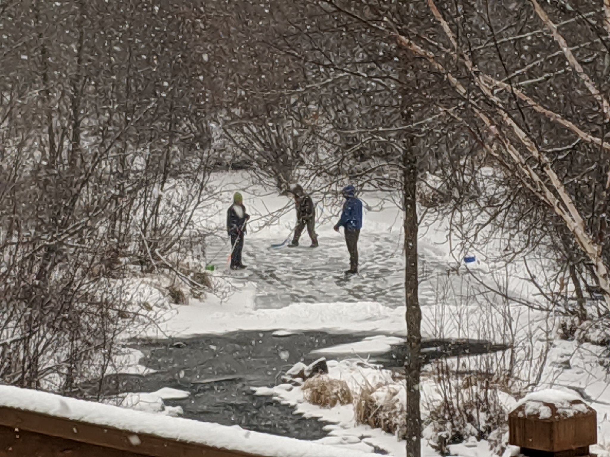 IMG_20201218_115917_1.jpg