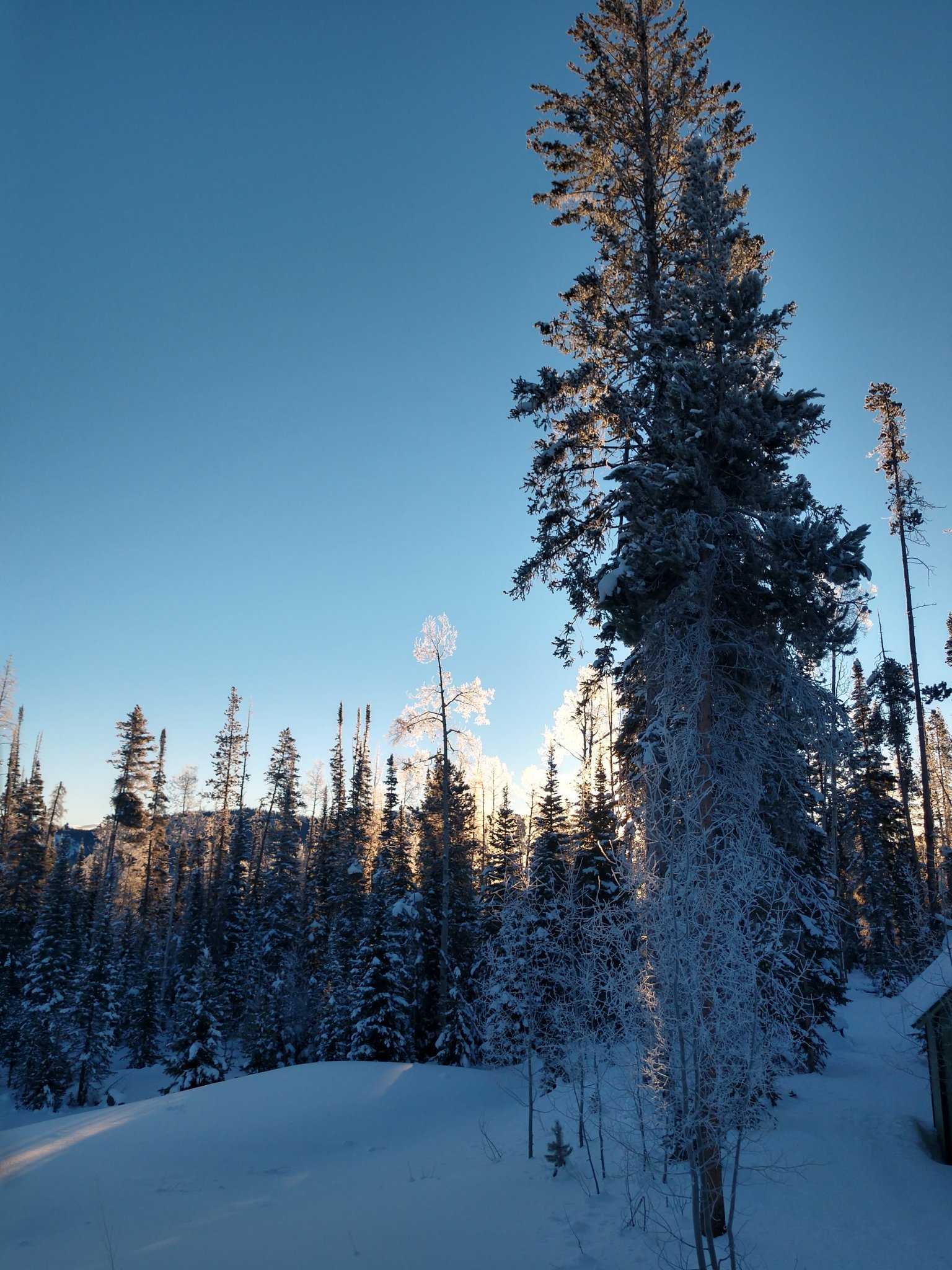 IMG_20210102_075432381_HDR.jpg