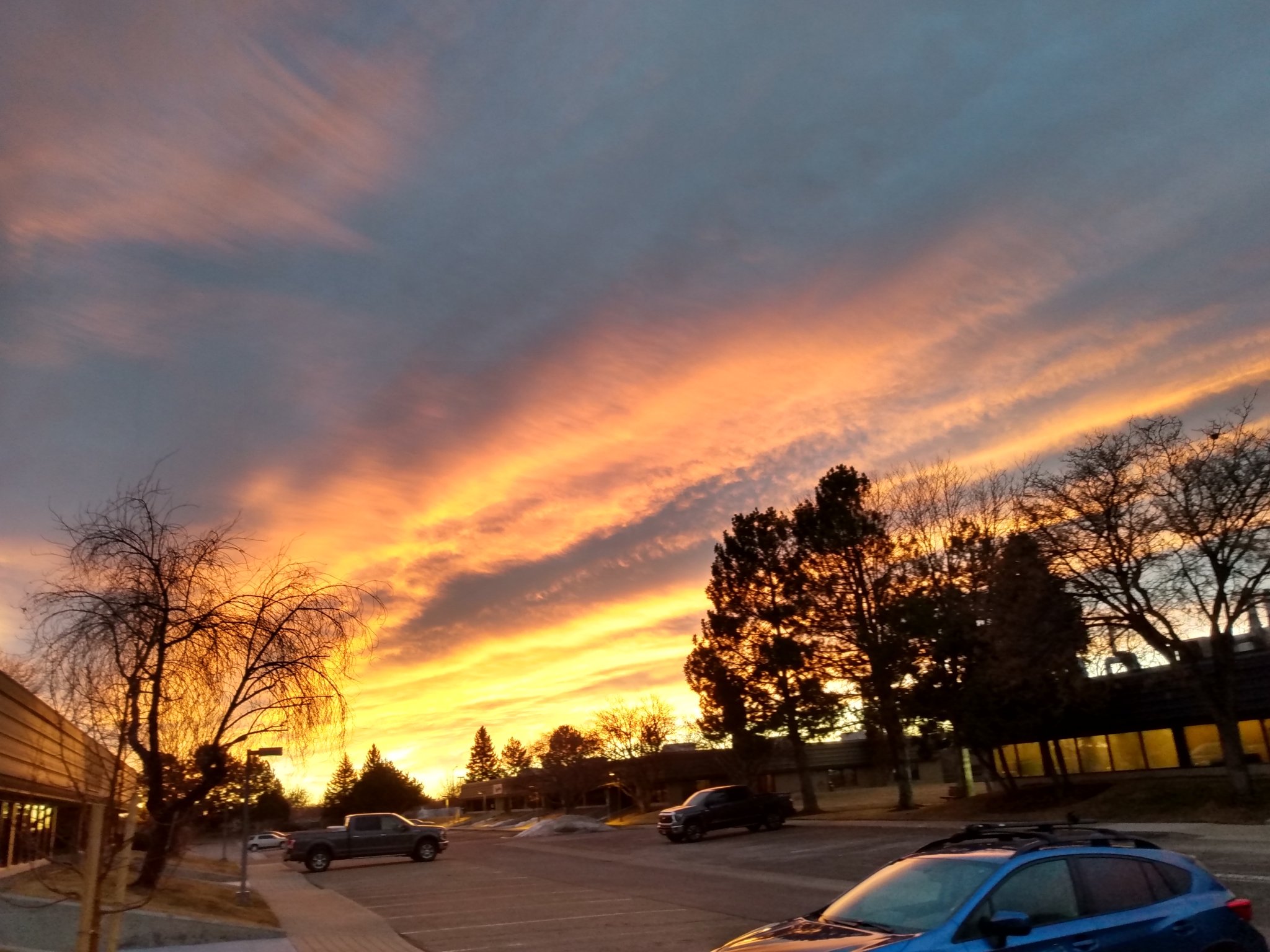 IMG_20210121_070925088_HDR.jpg