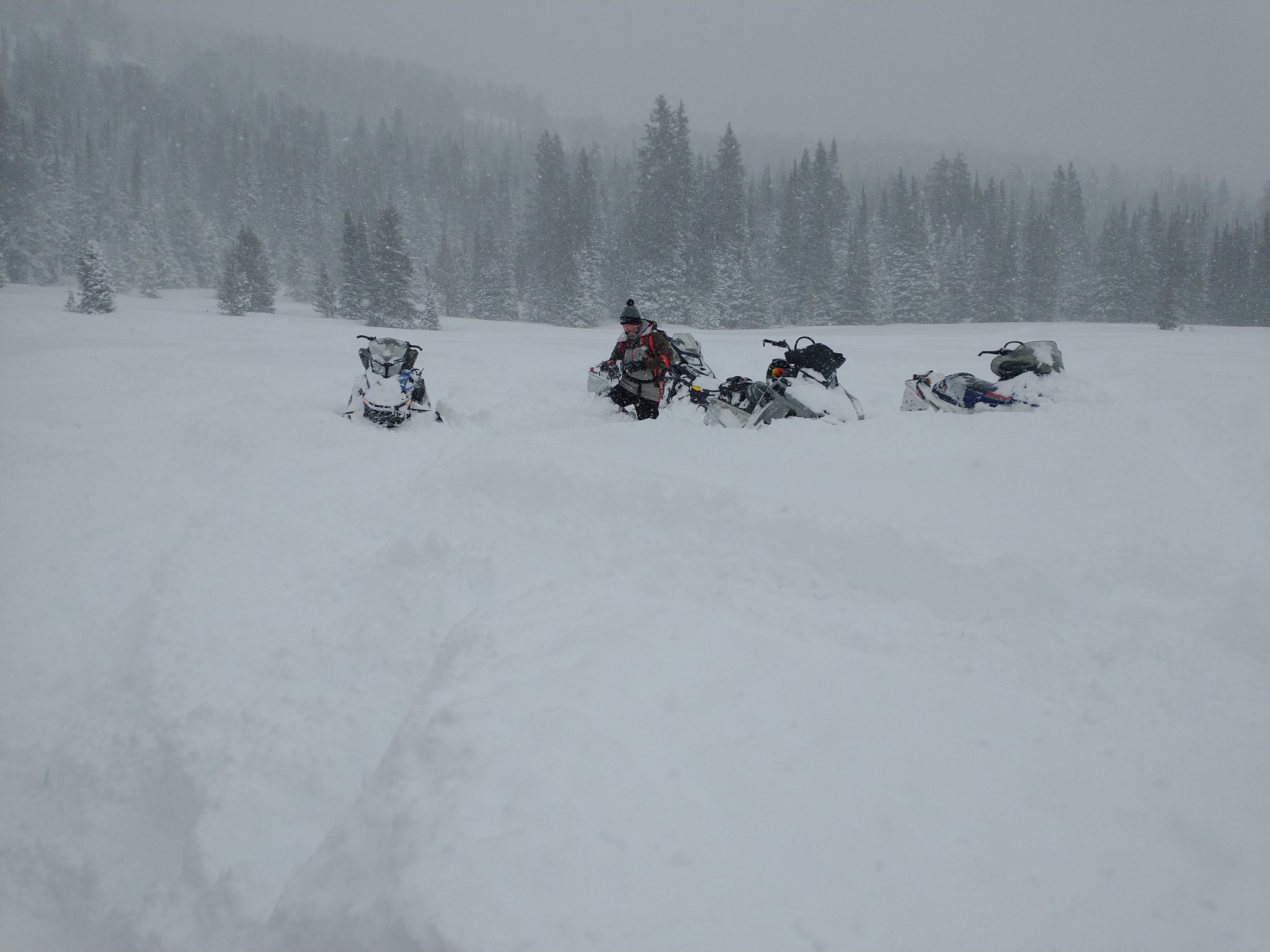 IMG_20210206_111452554.jpg