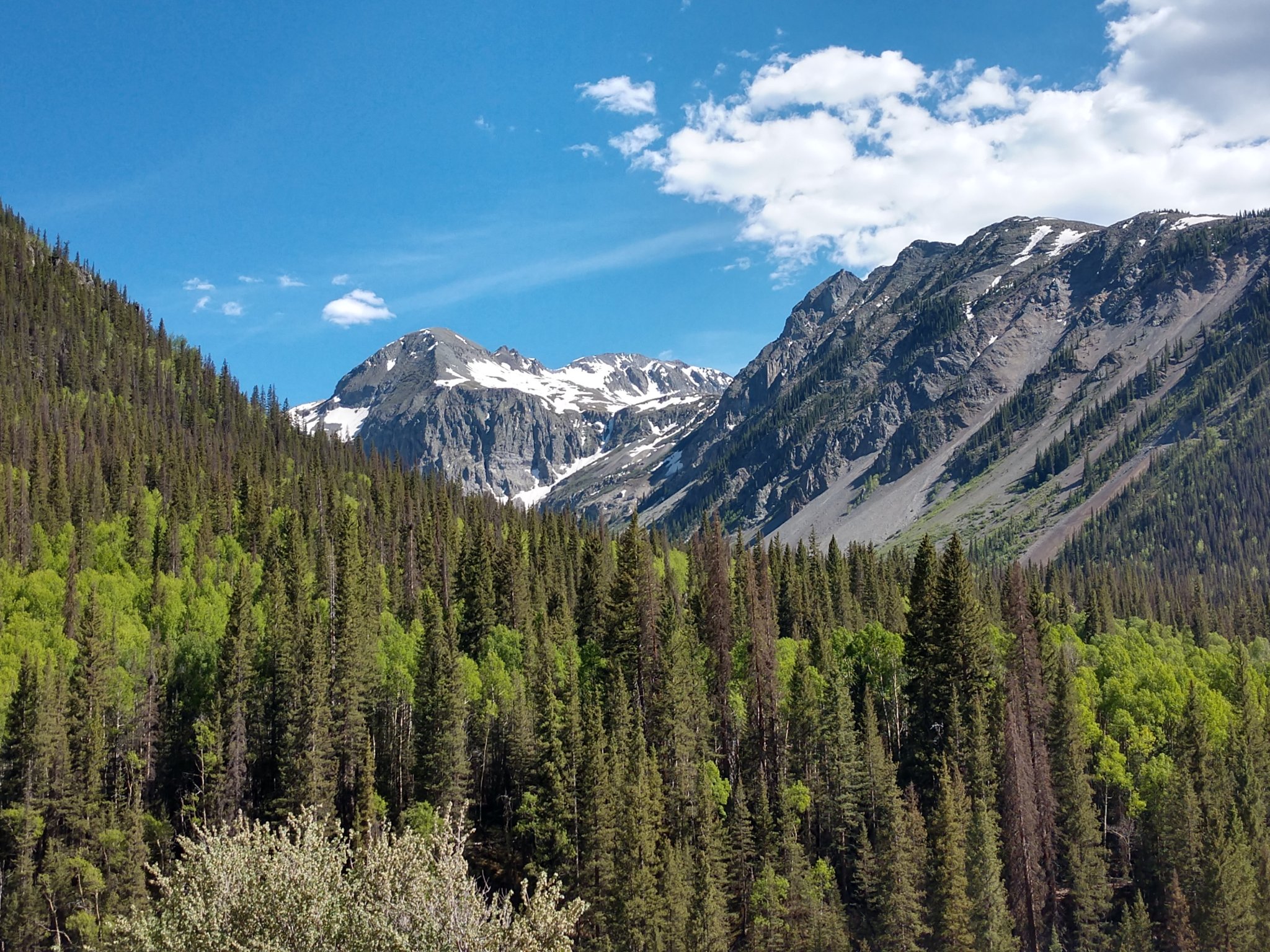IMG_20210613_161717145_HDR.jpg