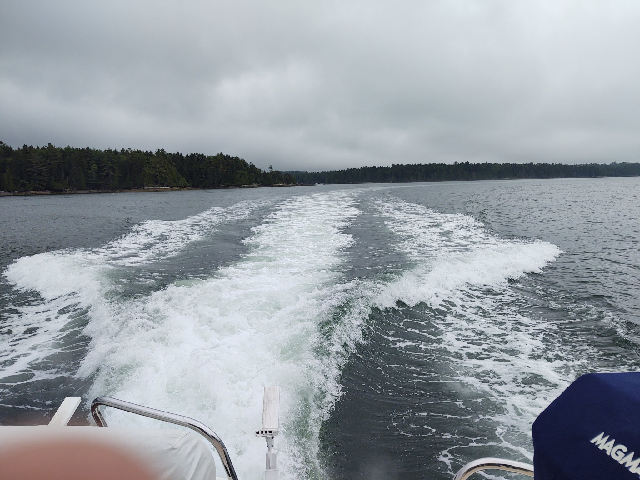 IMG_20210615_123534552.jpg