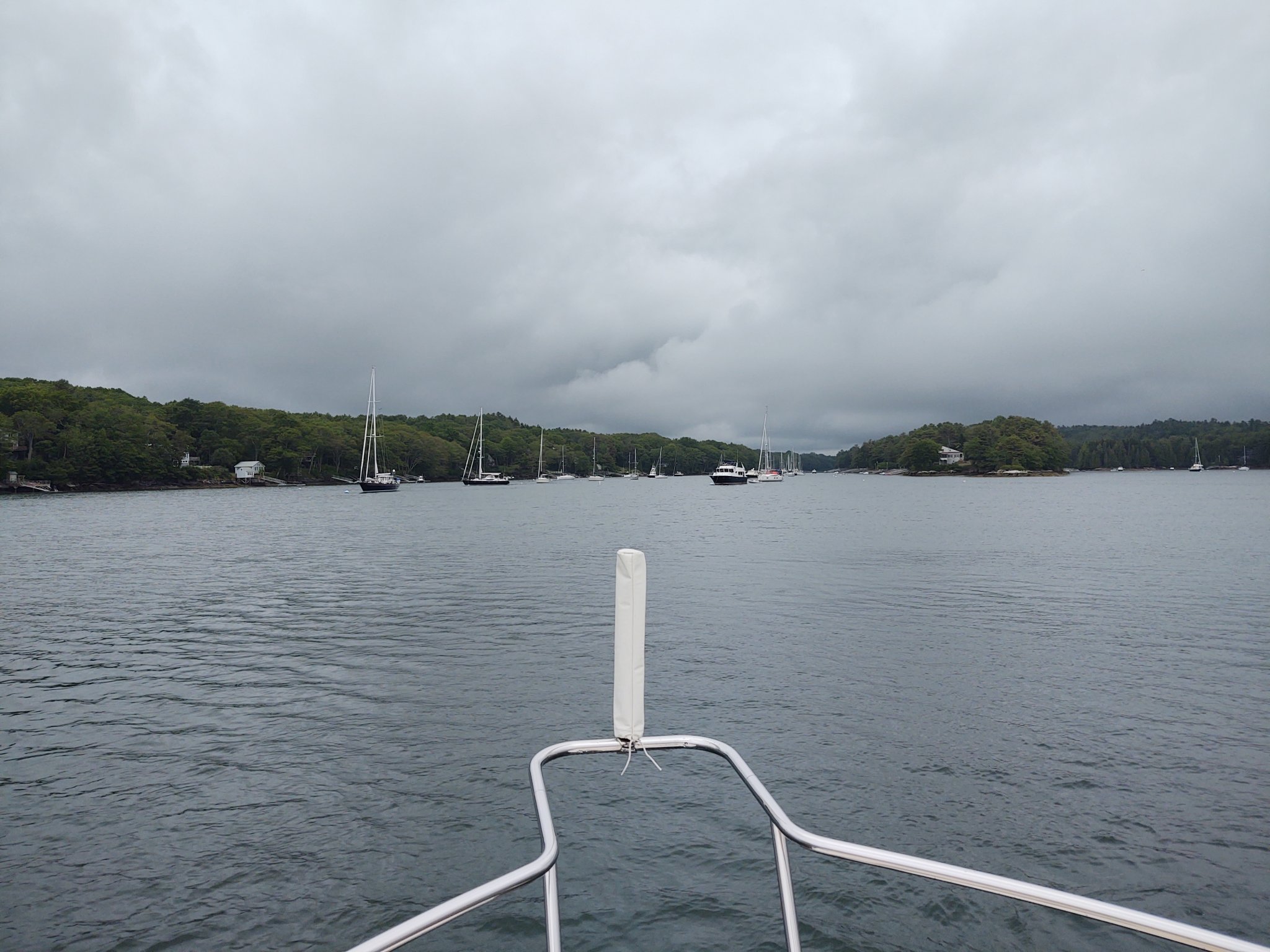 IMG_20210615_124121337.jpg