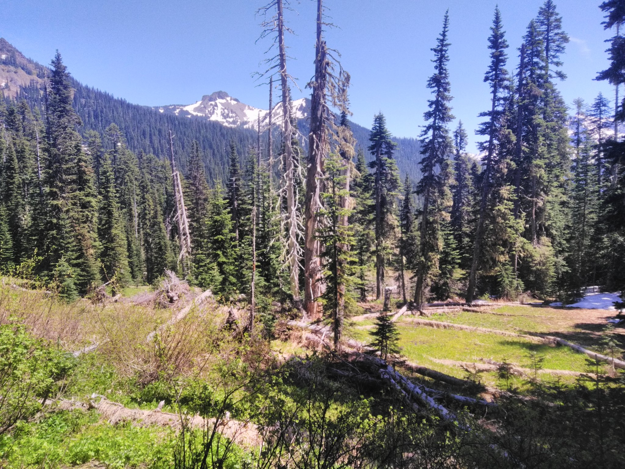 IMG_20210618_142054.jpg