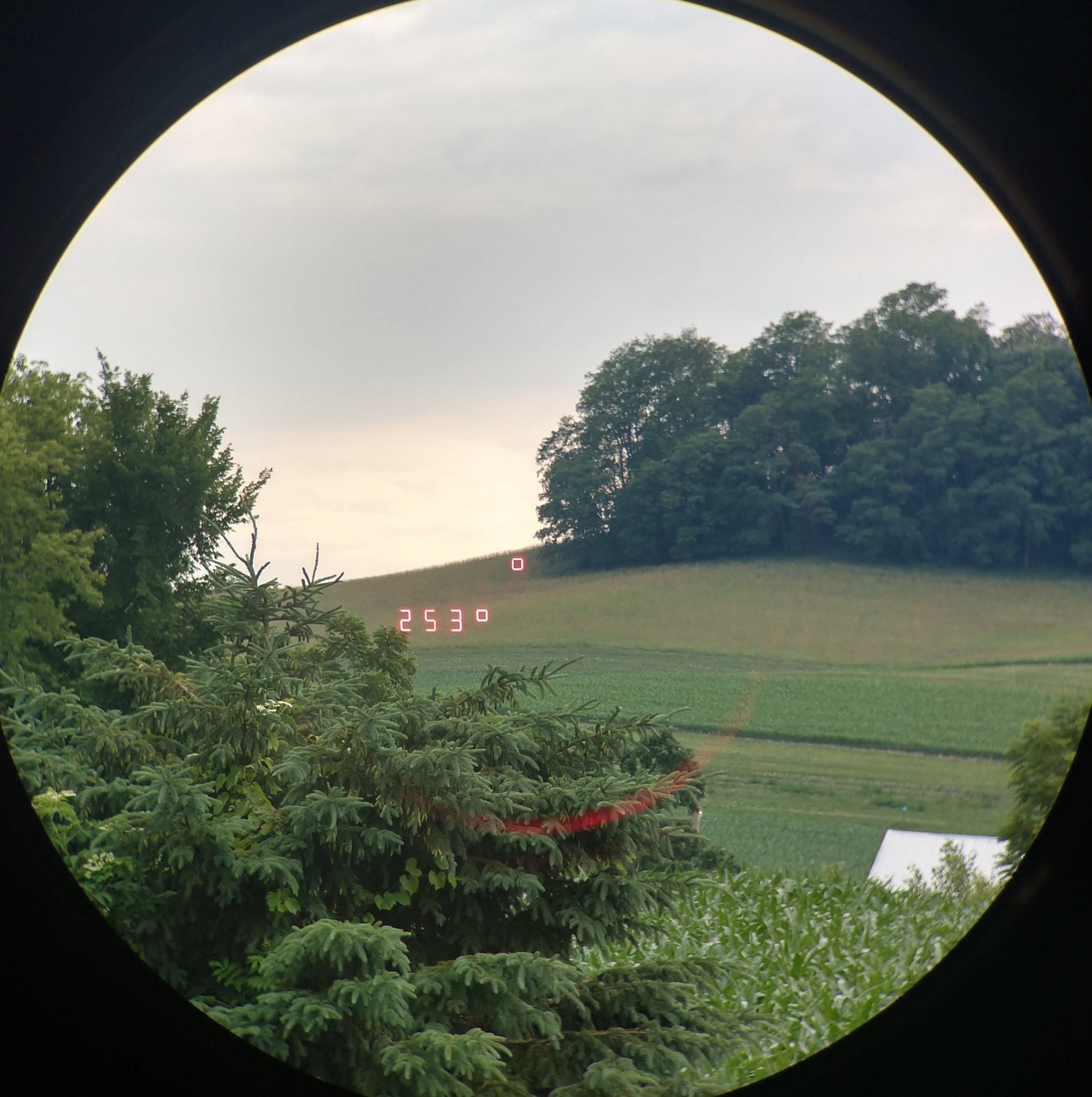 IMG_20210627_174647827_HDR~2.jpg