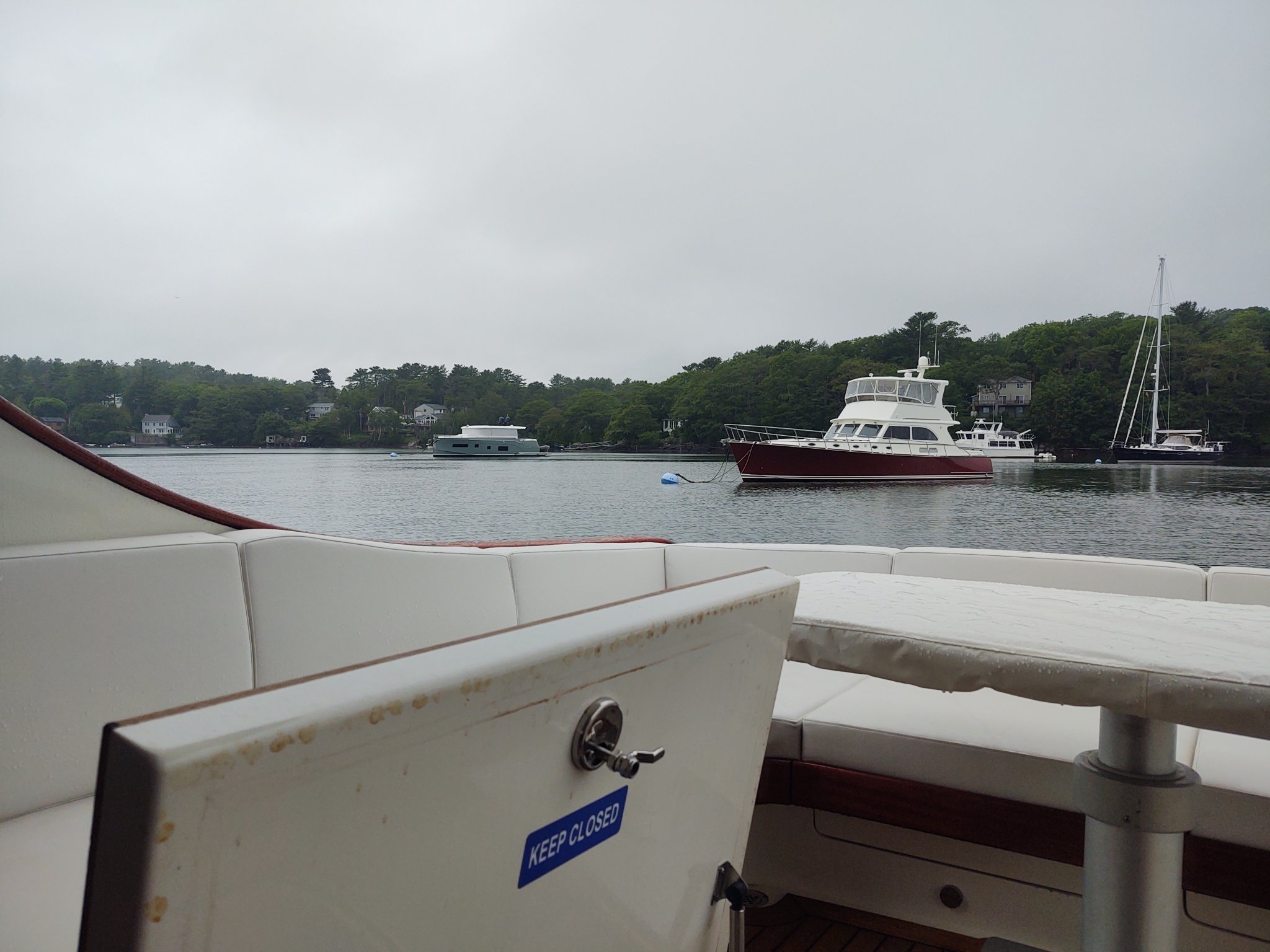 IMG_20210709_103515017.jpg
