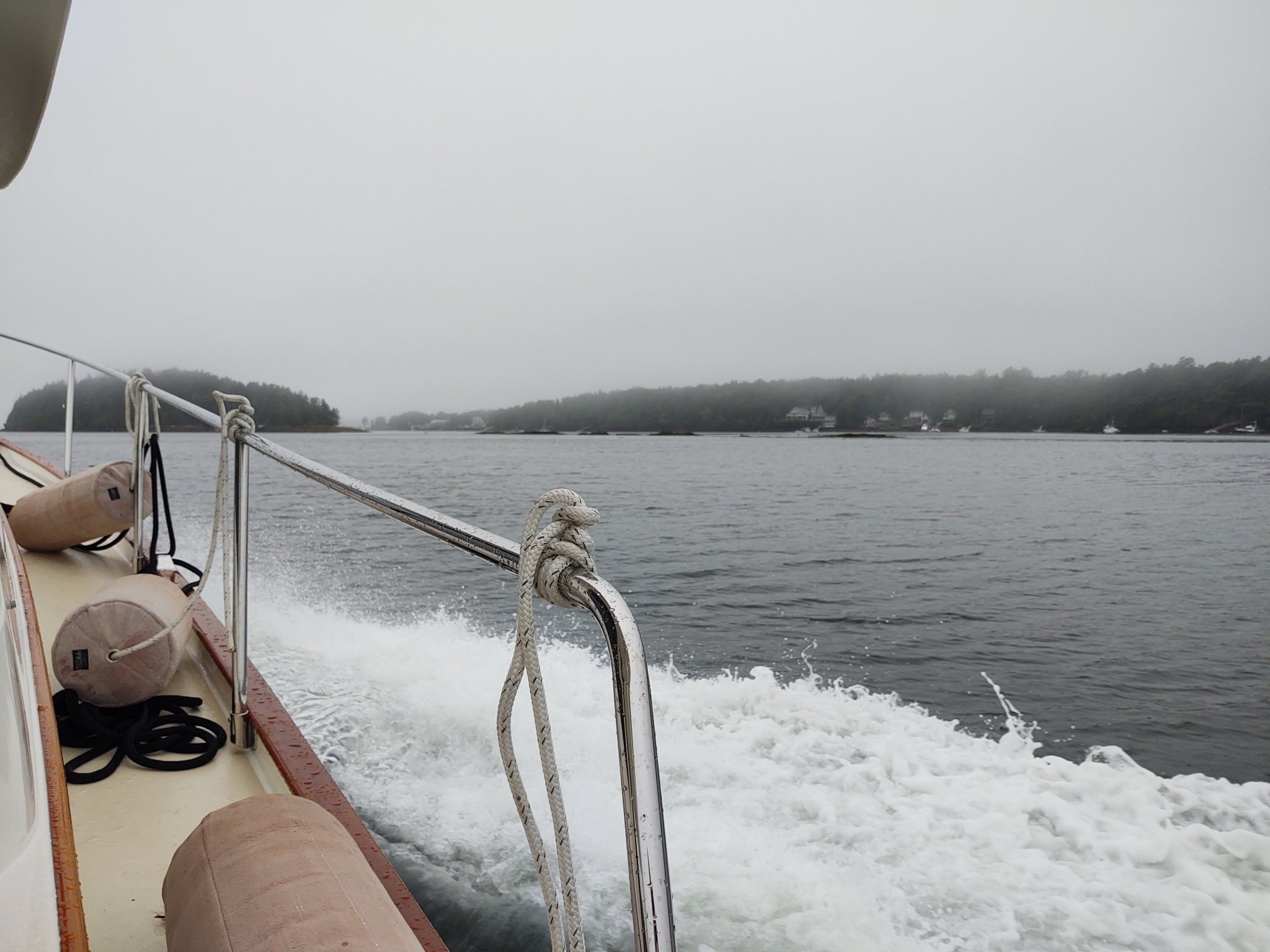 IMG_20210714_082713351.jpg