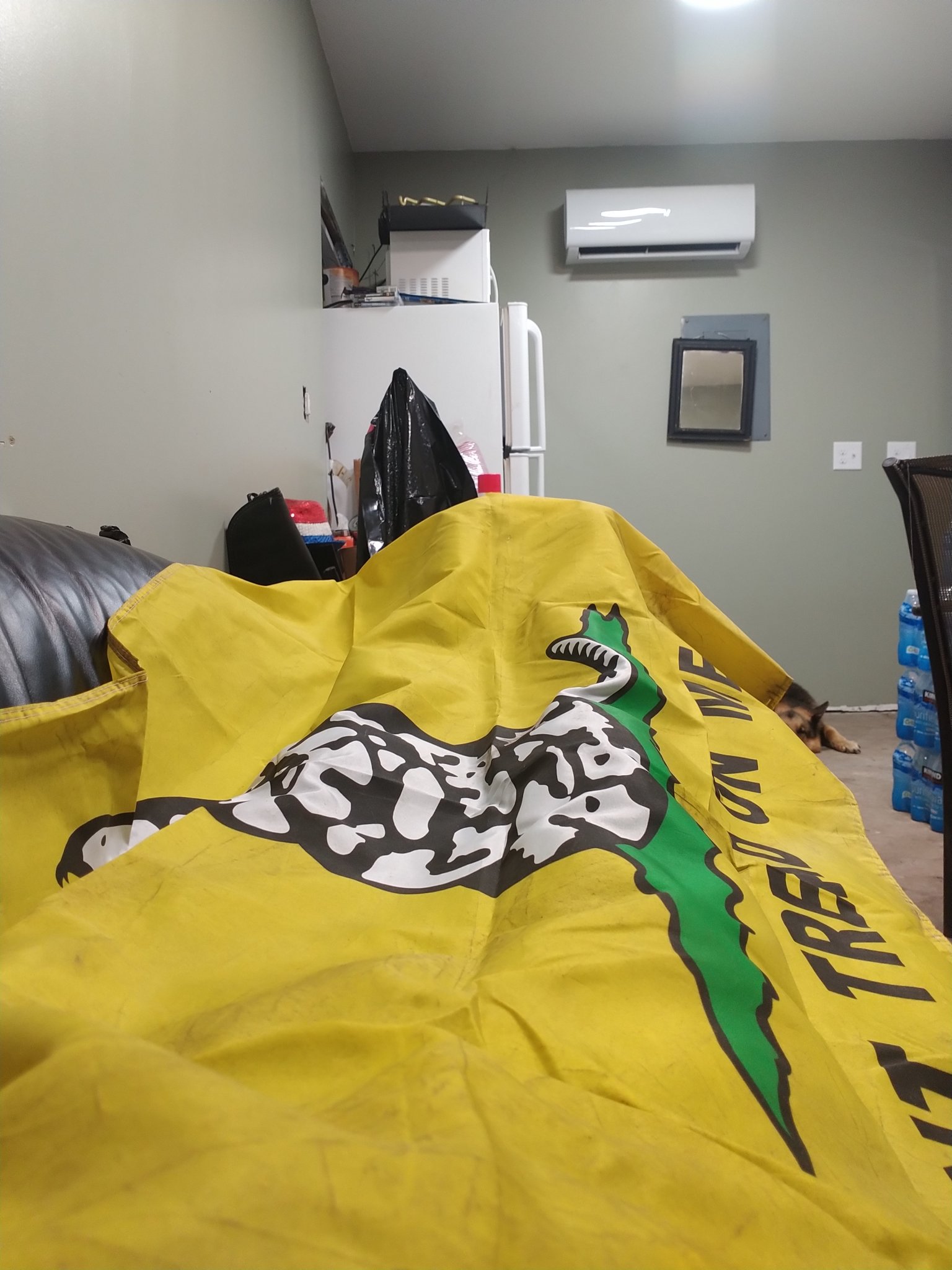 IMG_20210814_132551.jpg