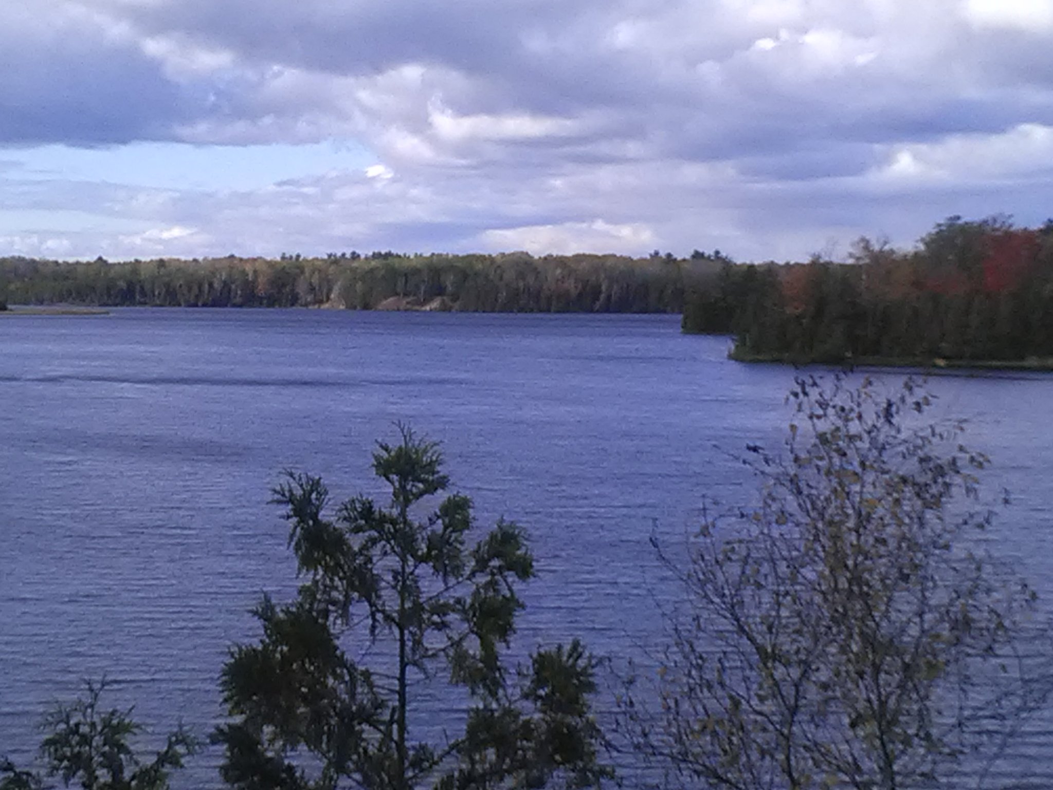 IMG_20211016_151144.jpg