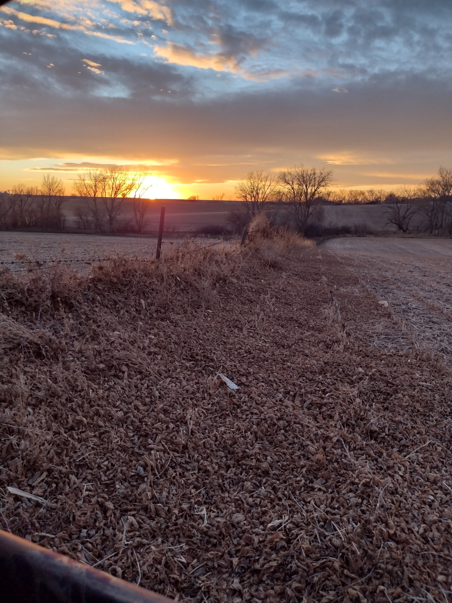 IMG_20221105_181359891_HDR.jpg